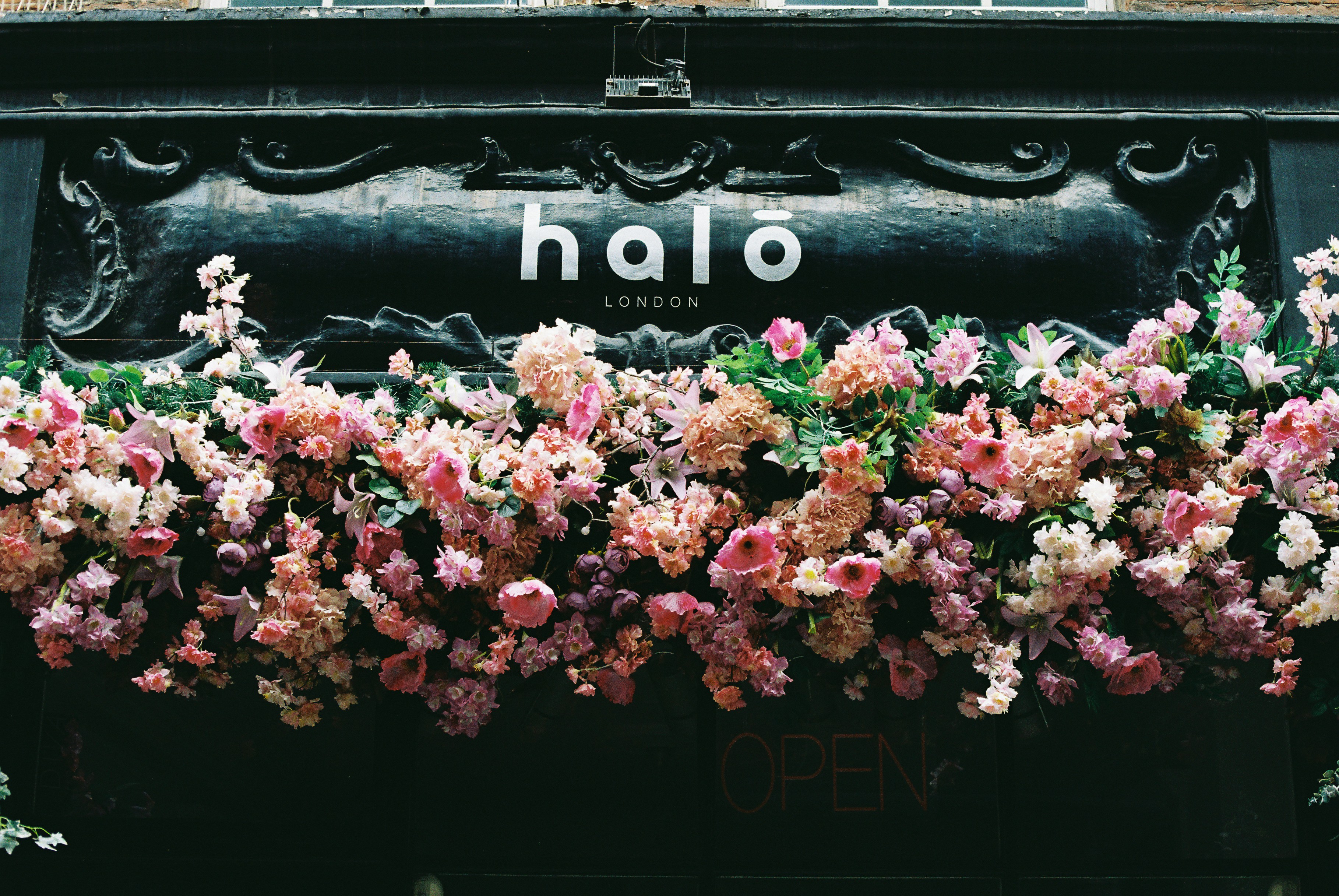 Hairraiser Salon