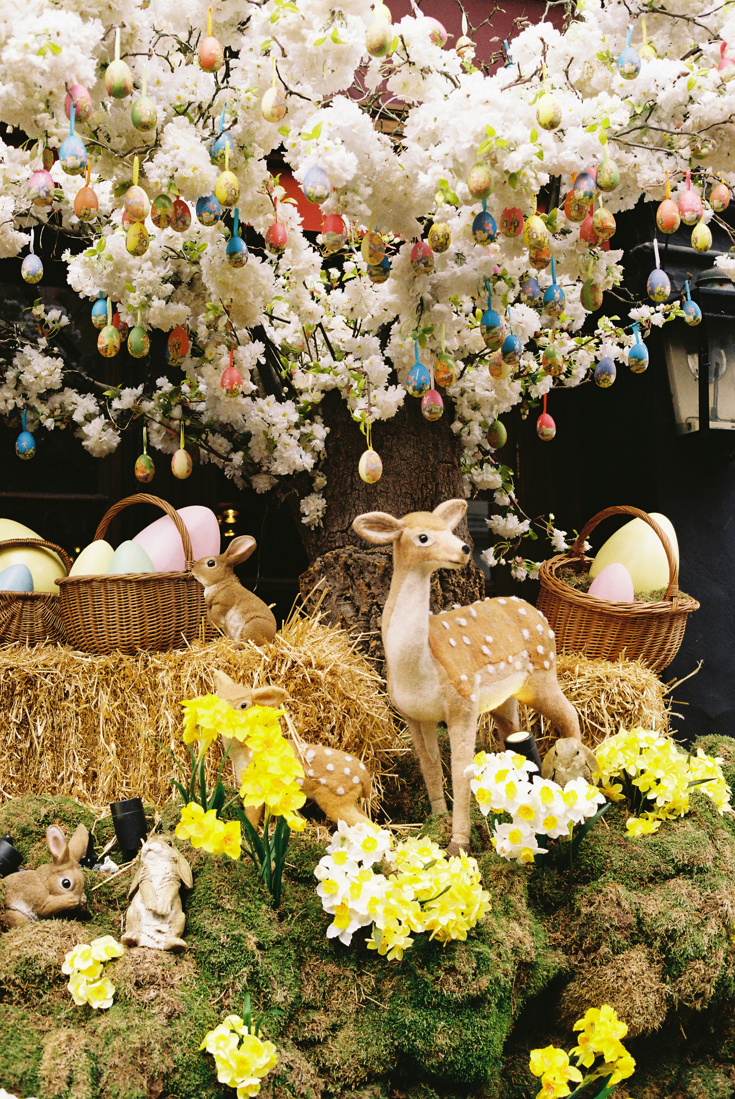 Easter display with decorated tree, bunnies, and deer. photo – Free ...