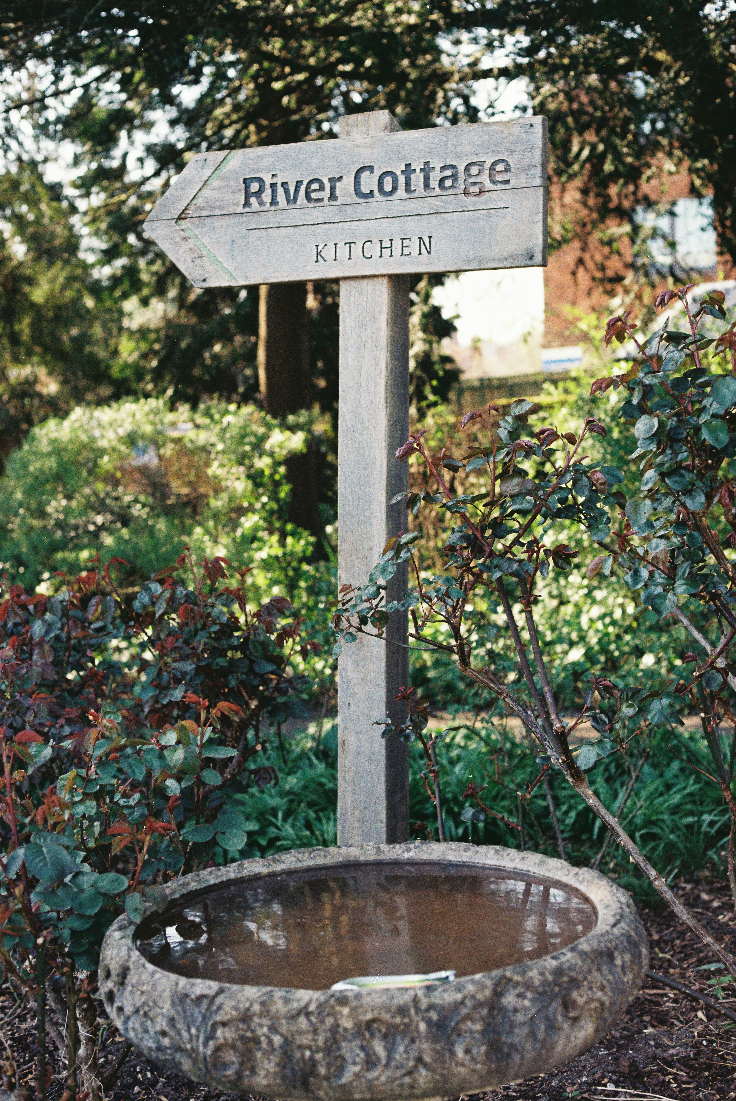 Photo by tanyabarrow