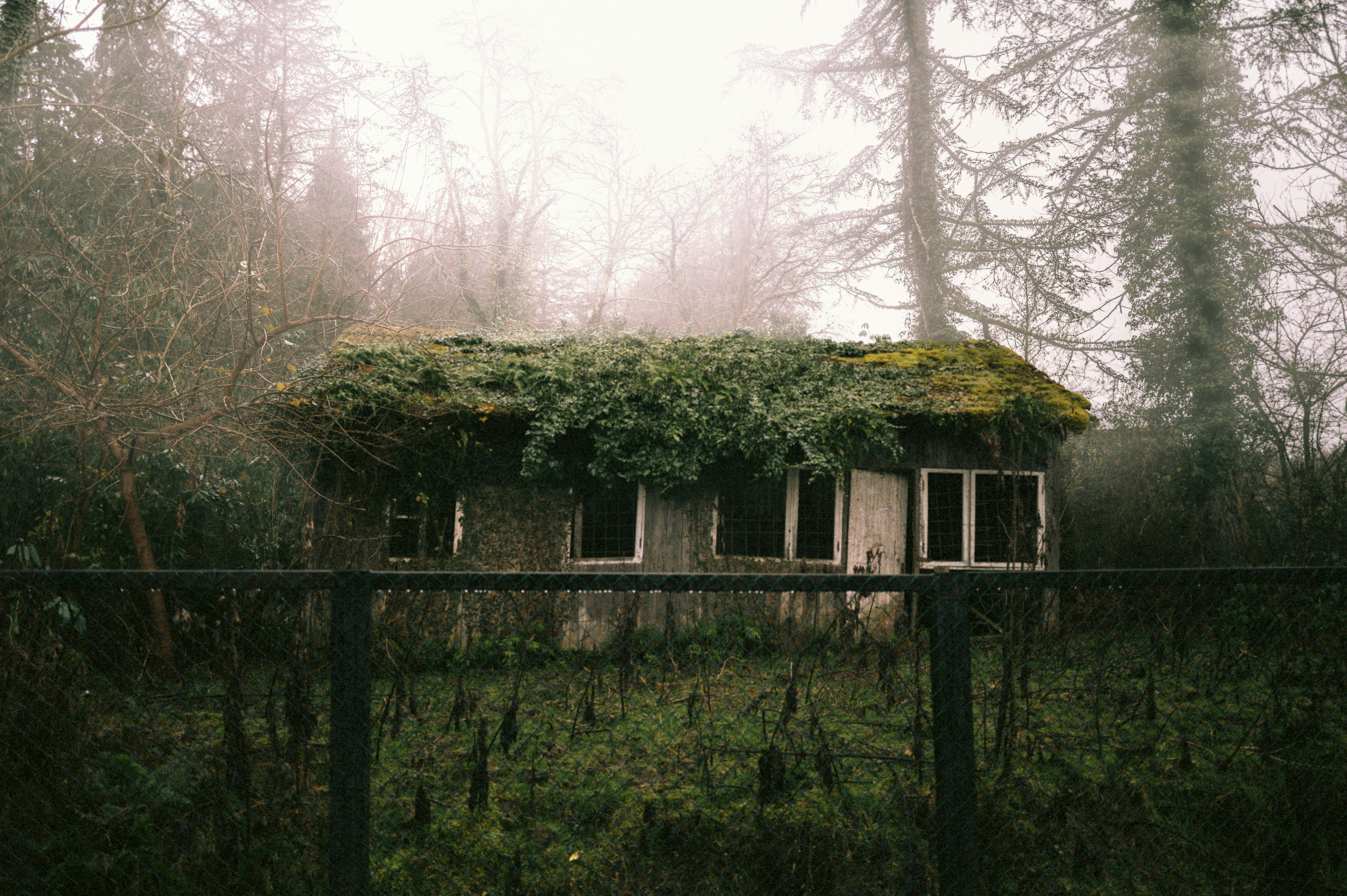 Photo by foxysight