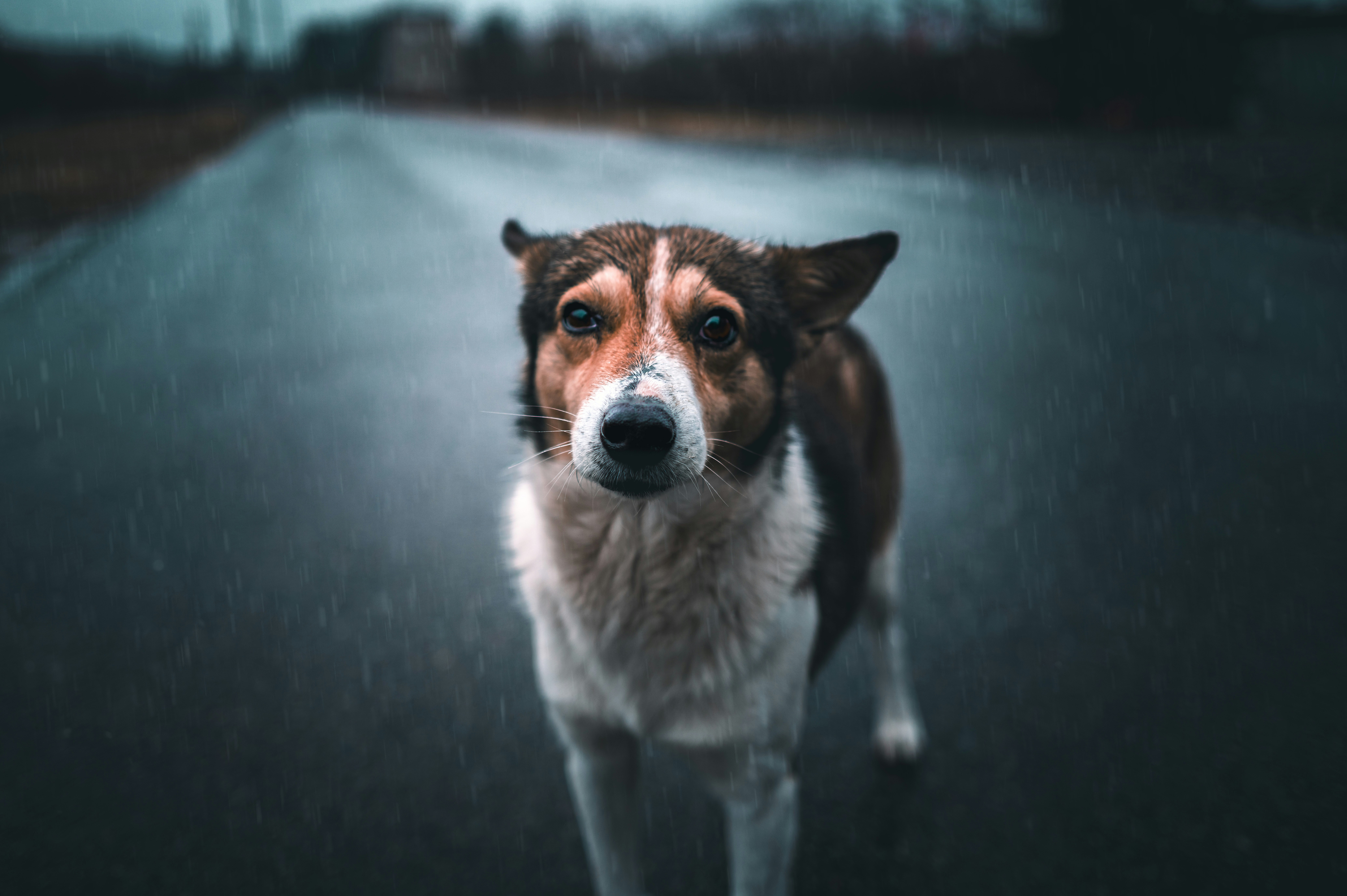 Photo by foxysight