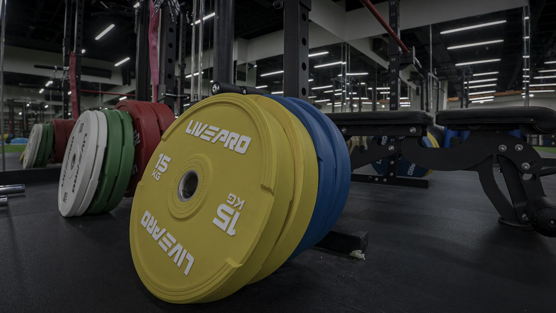 Titan Plate Loaded Fly Machine Review: Specs and Price