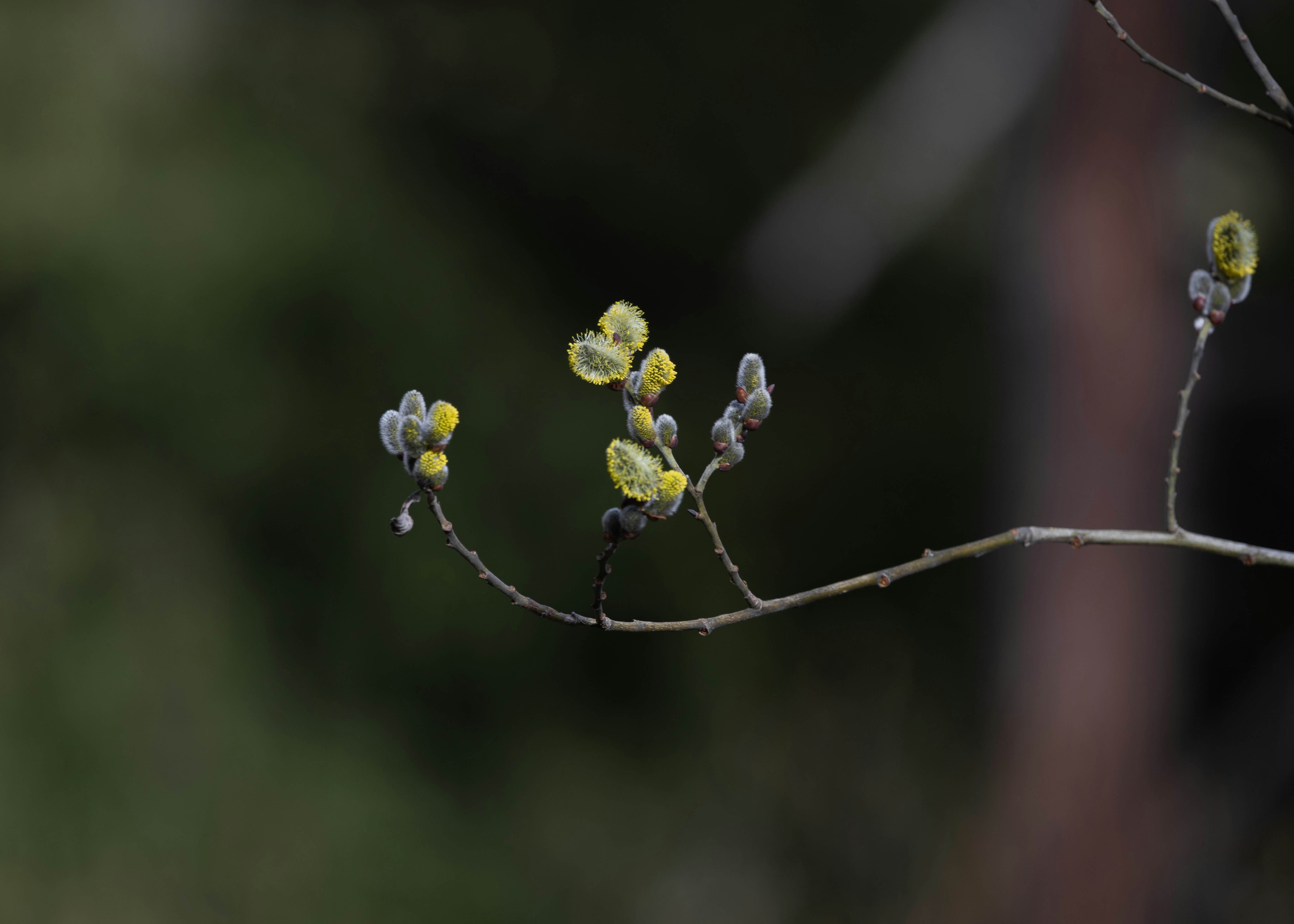 Photo by valomukitse