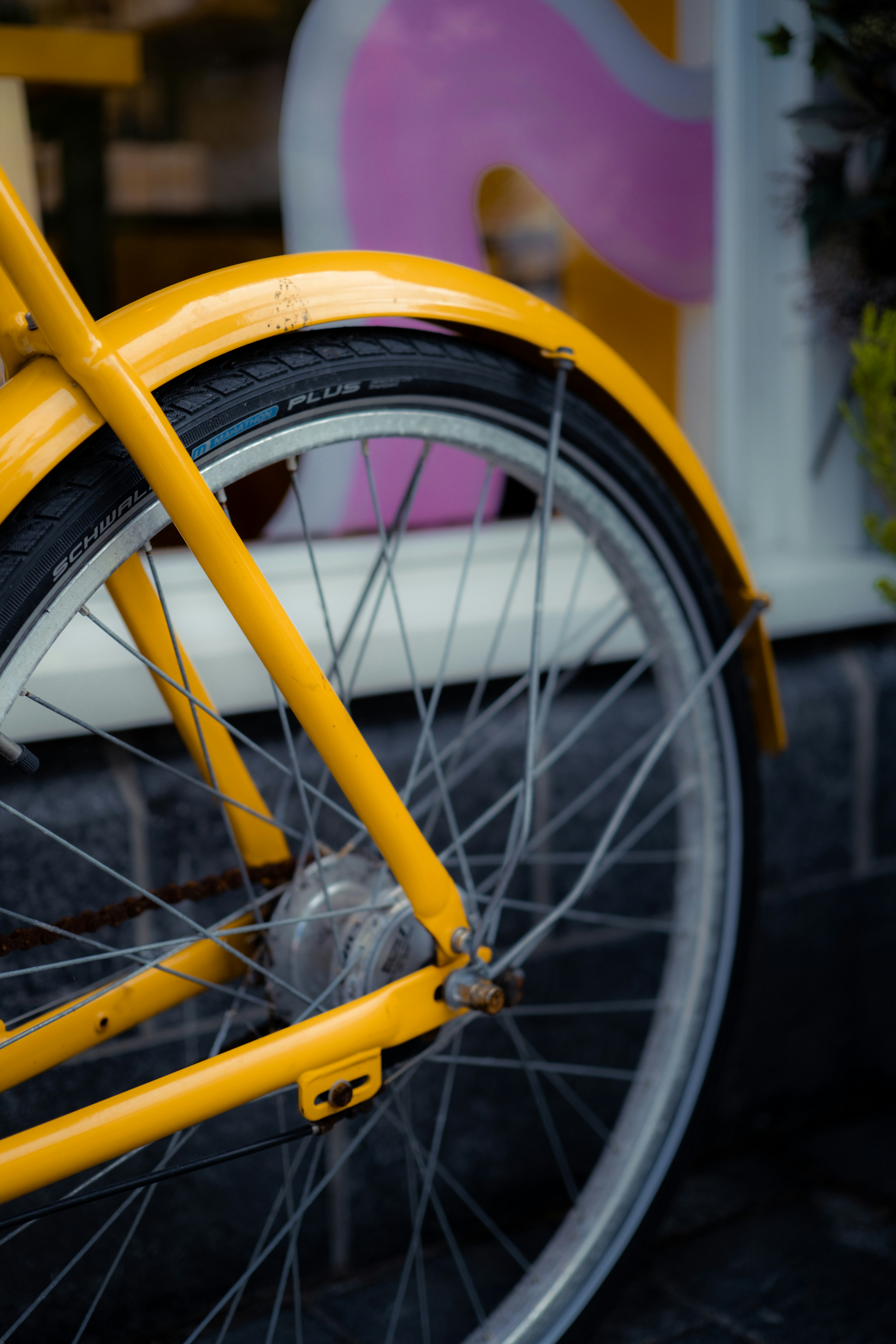 Photo by atelierbyvineeth