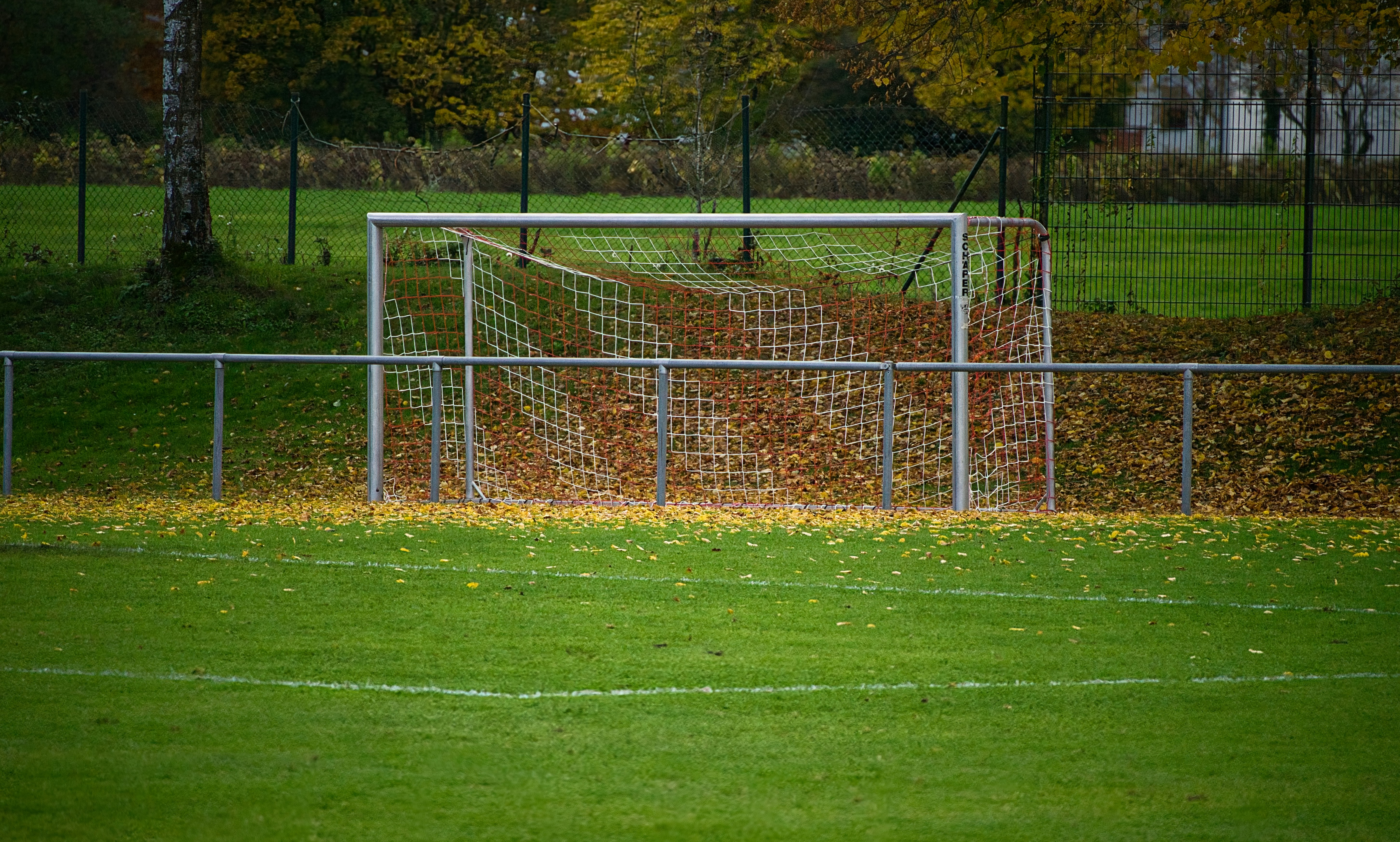 体育场景配图（资料示意）