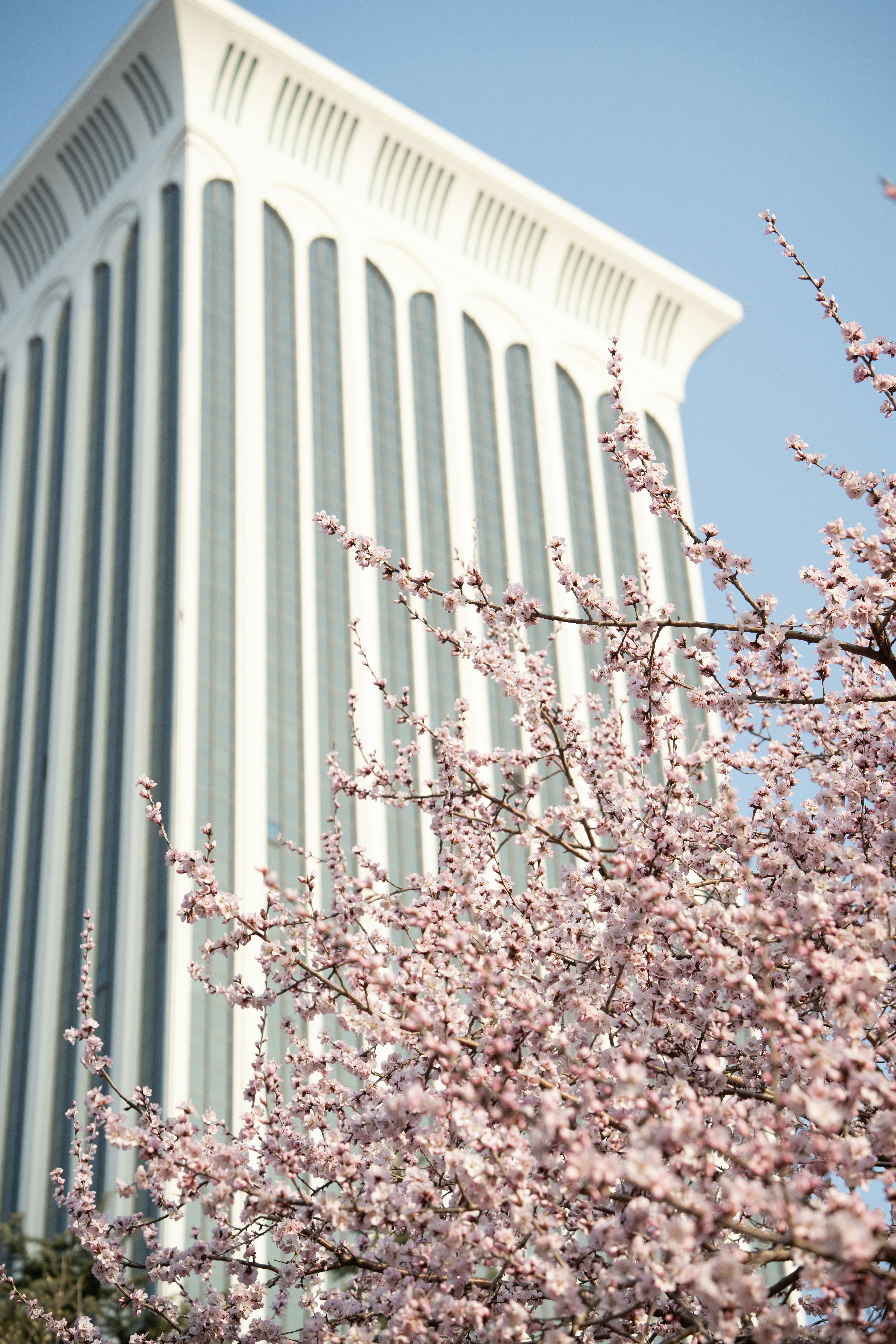 spring office