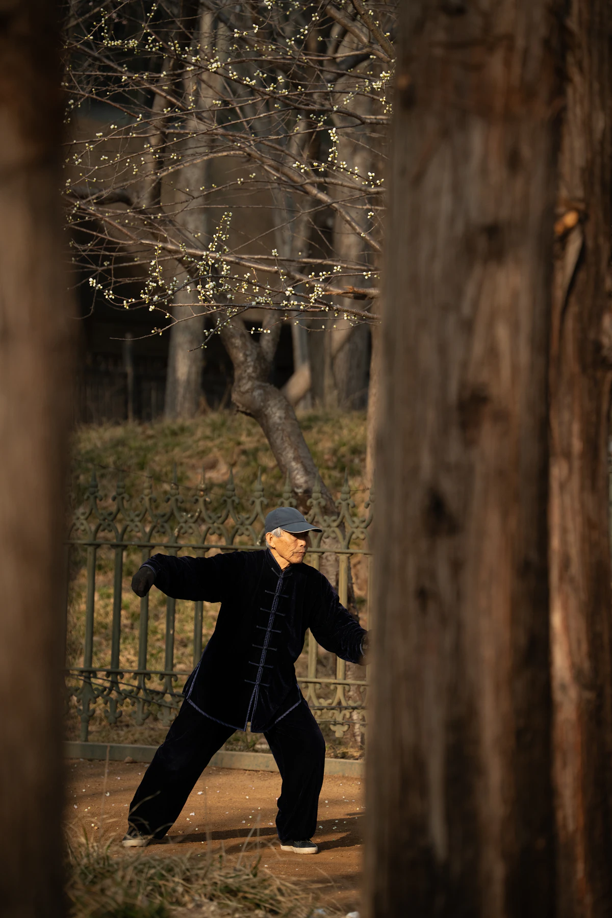 Older adult practicing tai chi outdoors to support active, healthy aging