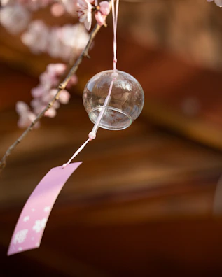 A glass wind chime hangs from a cherry blossom branch.