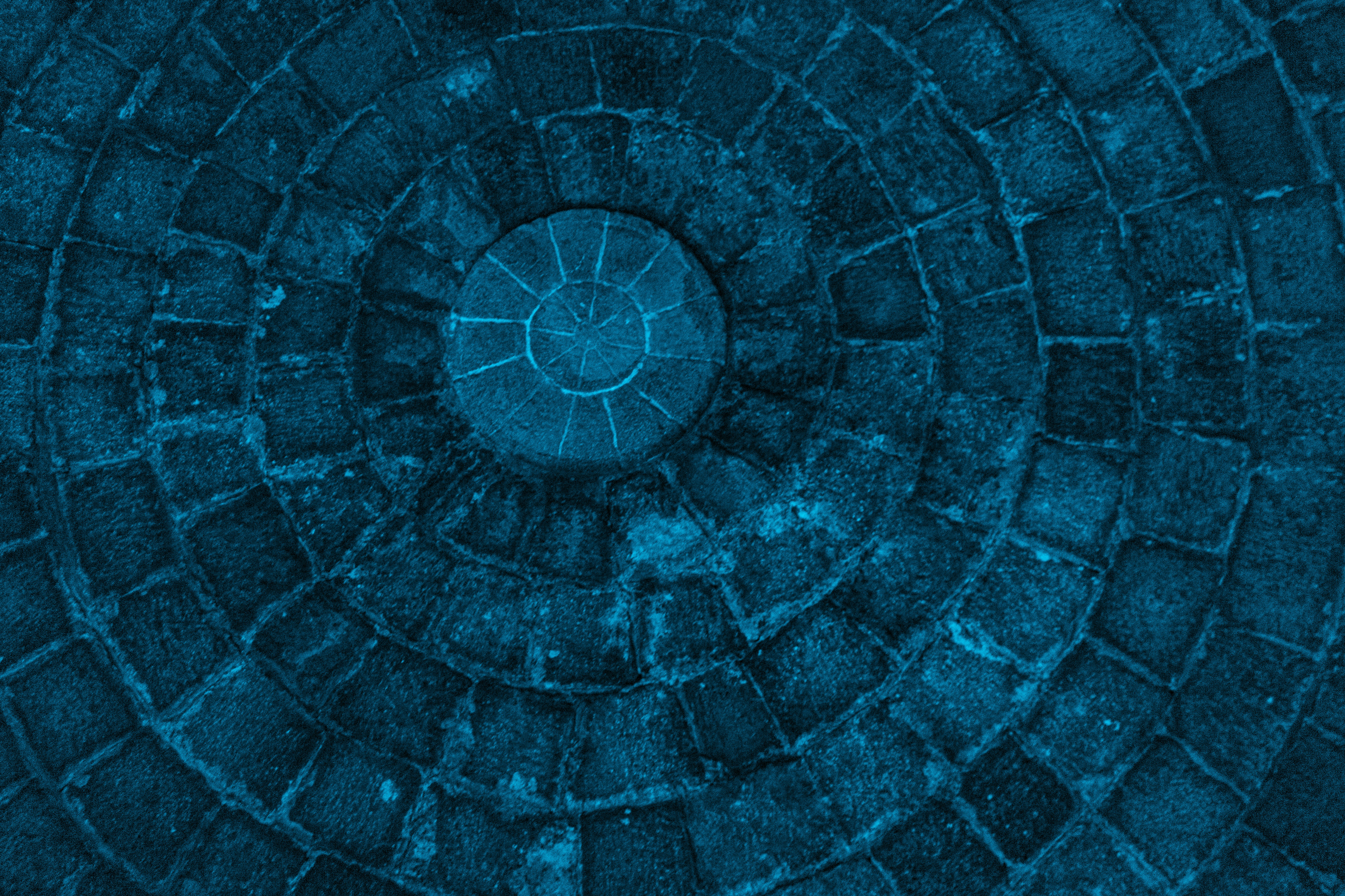 Photo by zoshuacolah