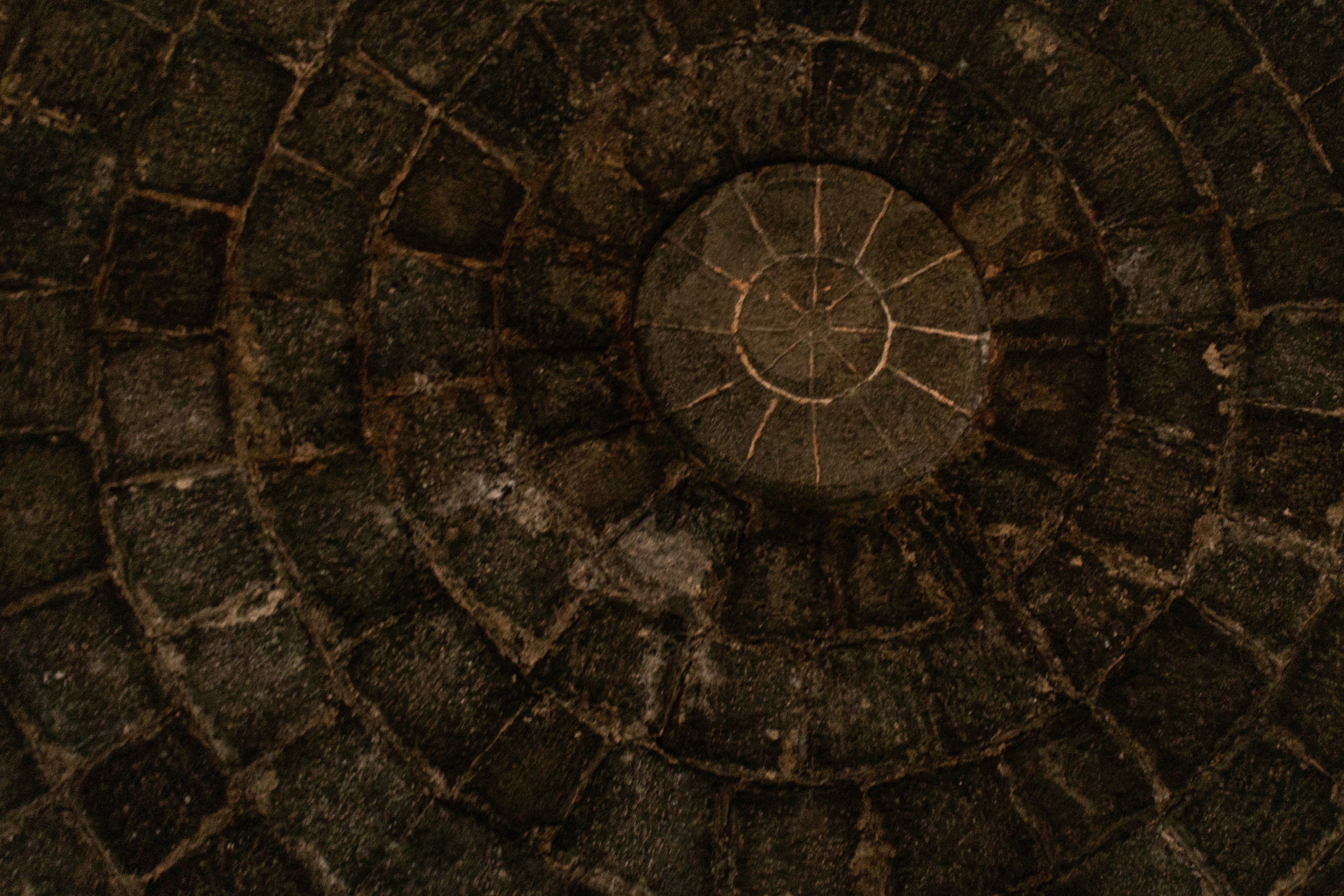 Photo by zoshuacolah