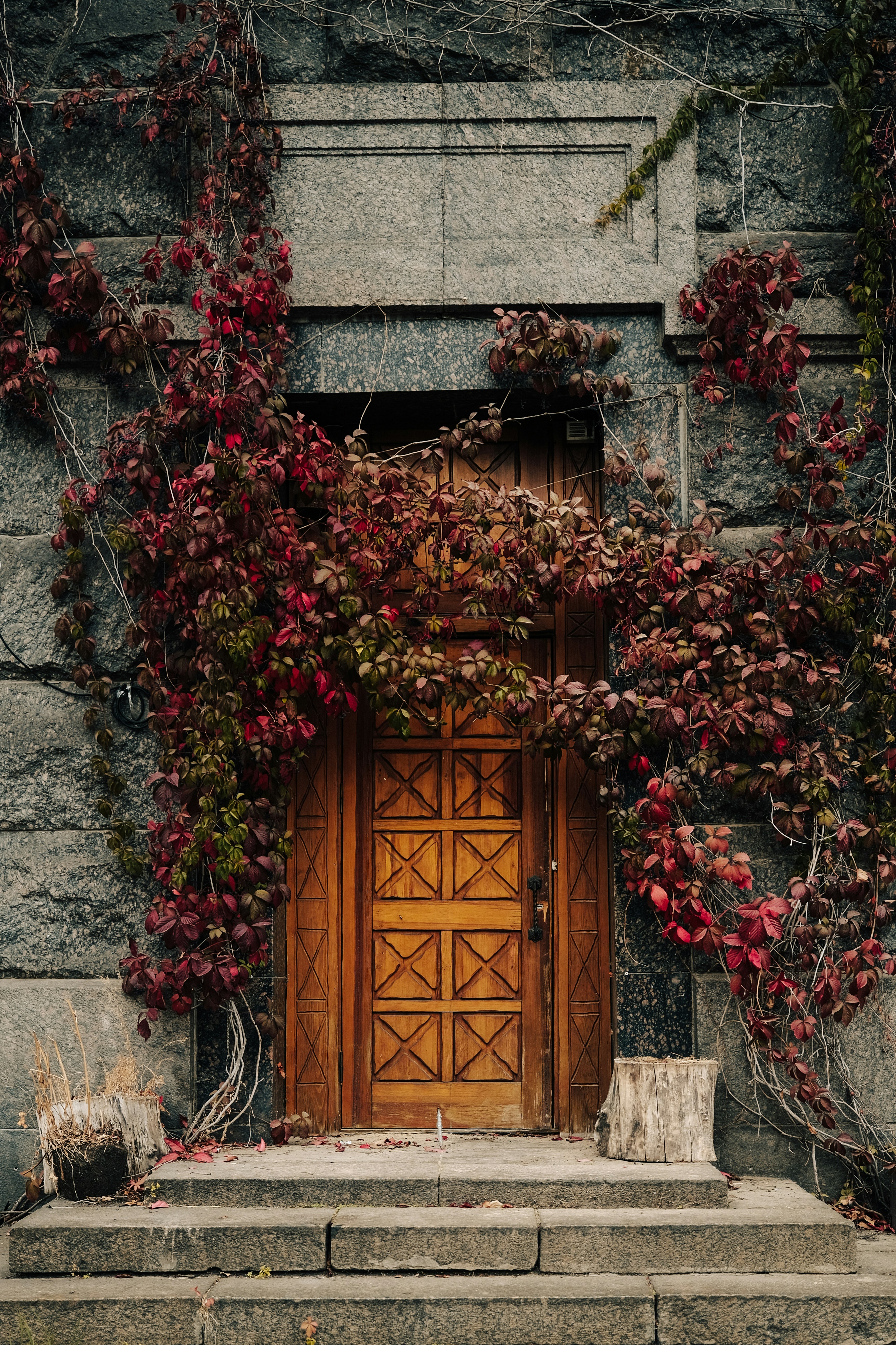 Photo by alluntsyatko