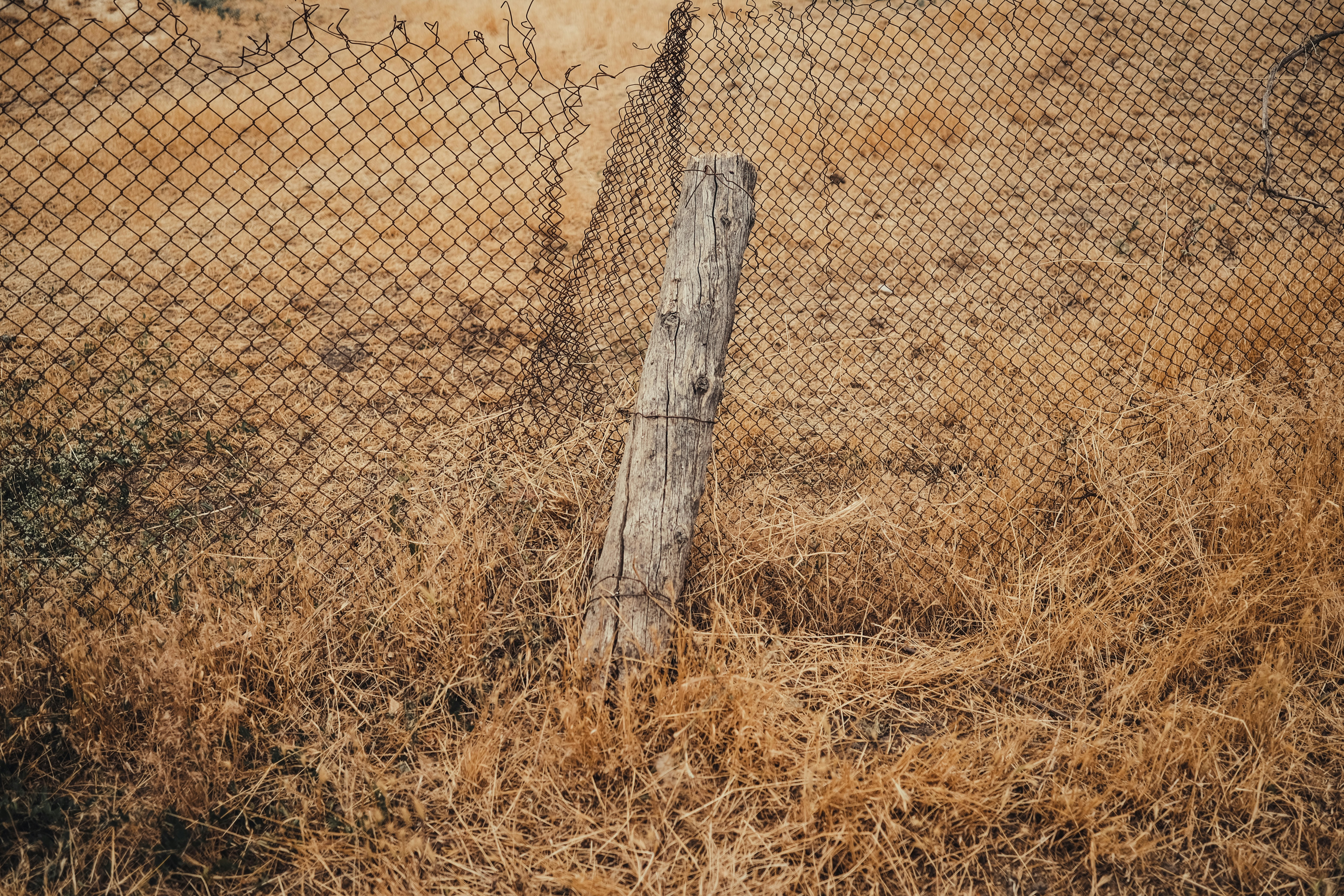 Weathered wooden post holding a chain-link fence