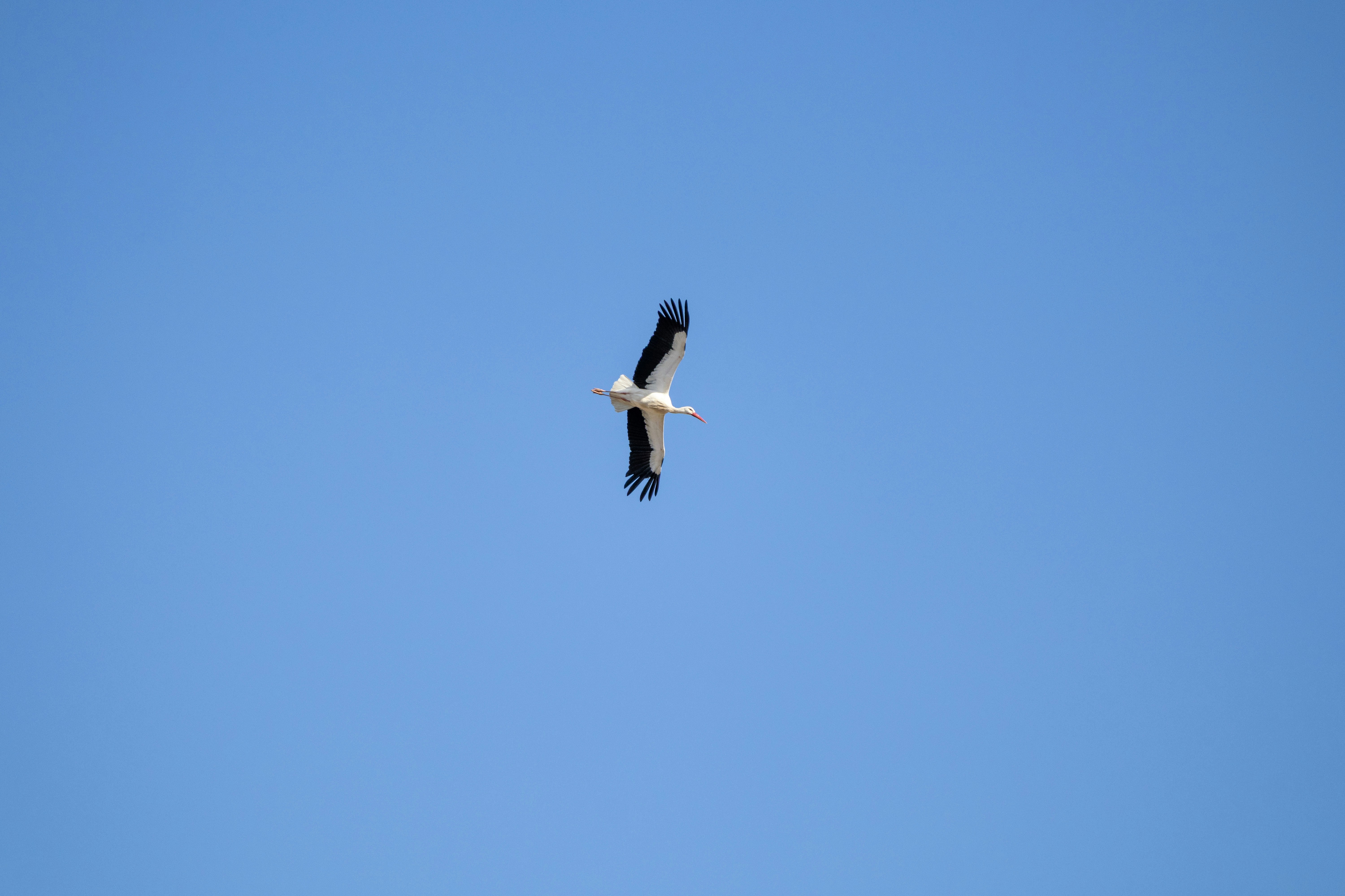 Photo by a_skaldsson