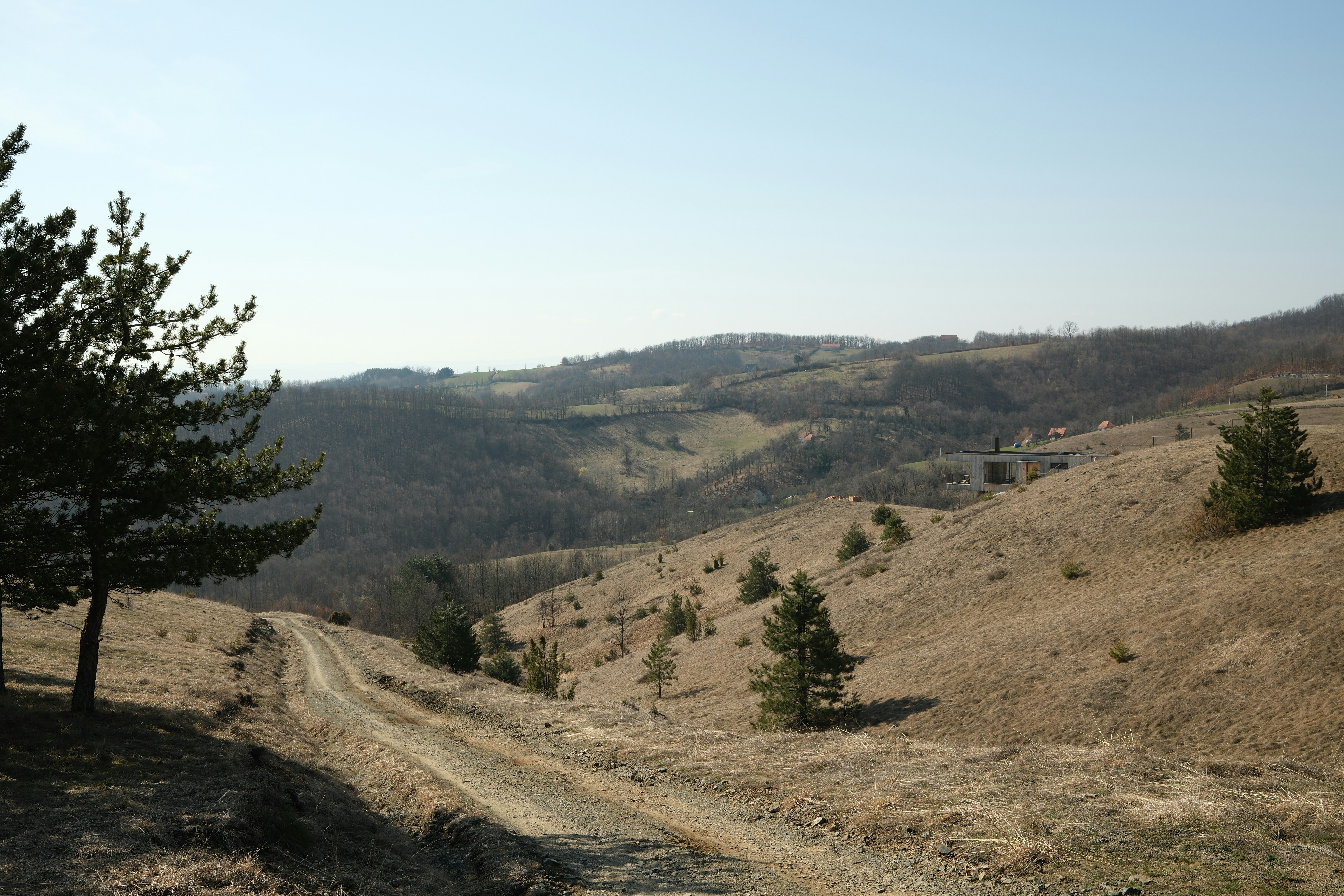Photo by borzenkov