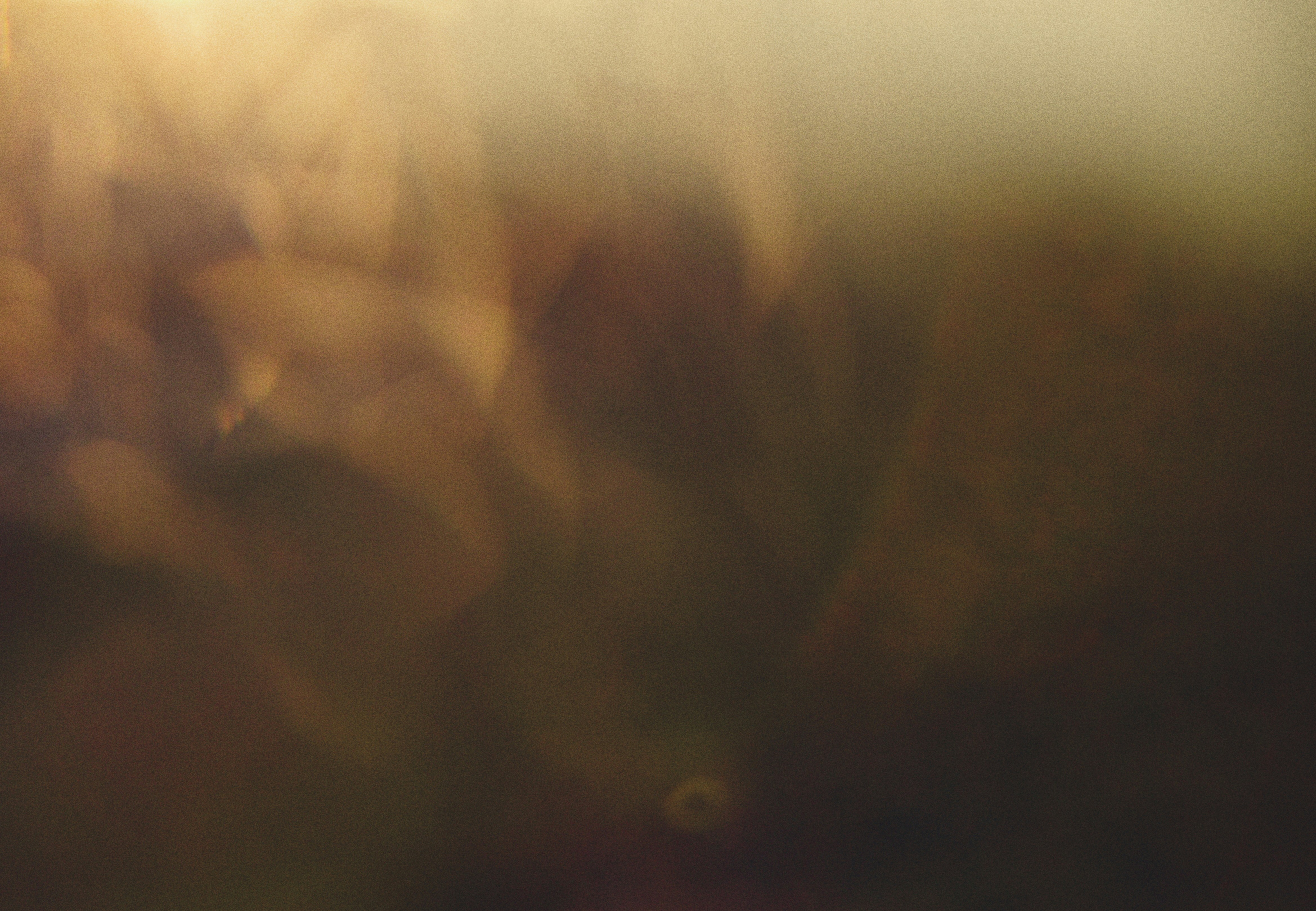 Photo by cherstve_pechivo