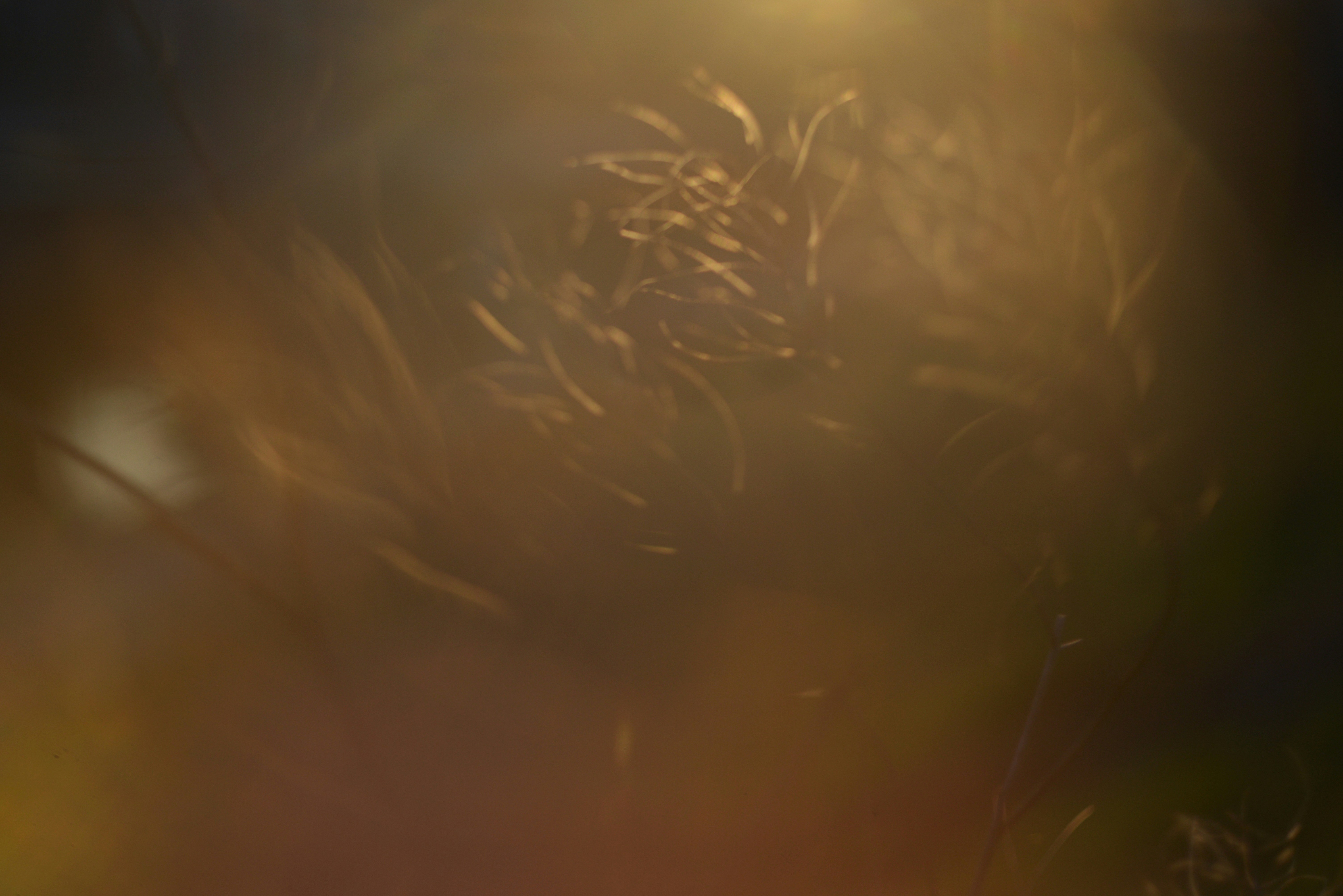 Photo by cherstve_pechivo