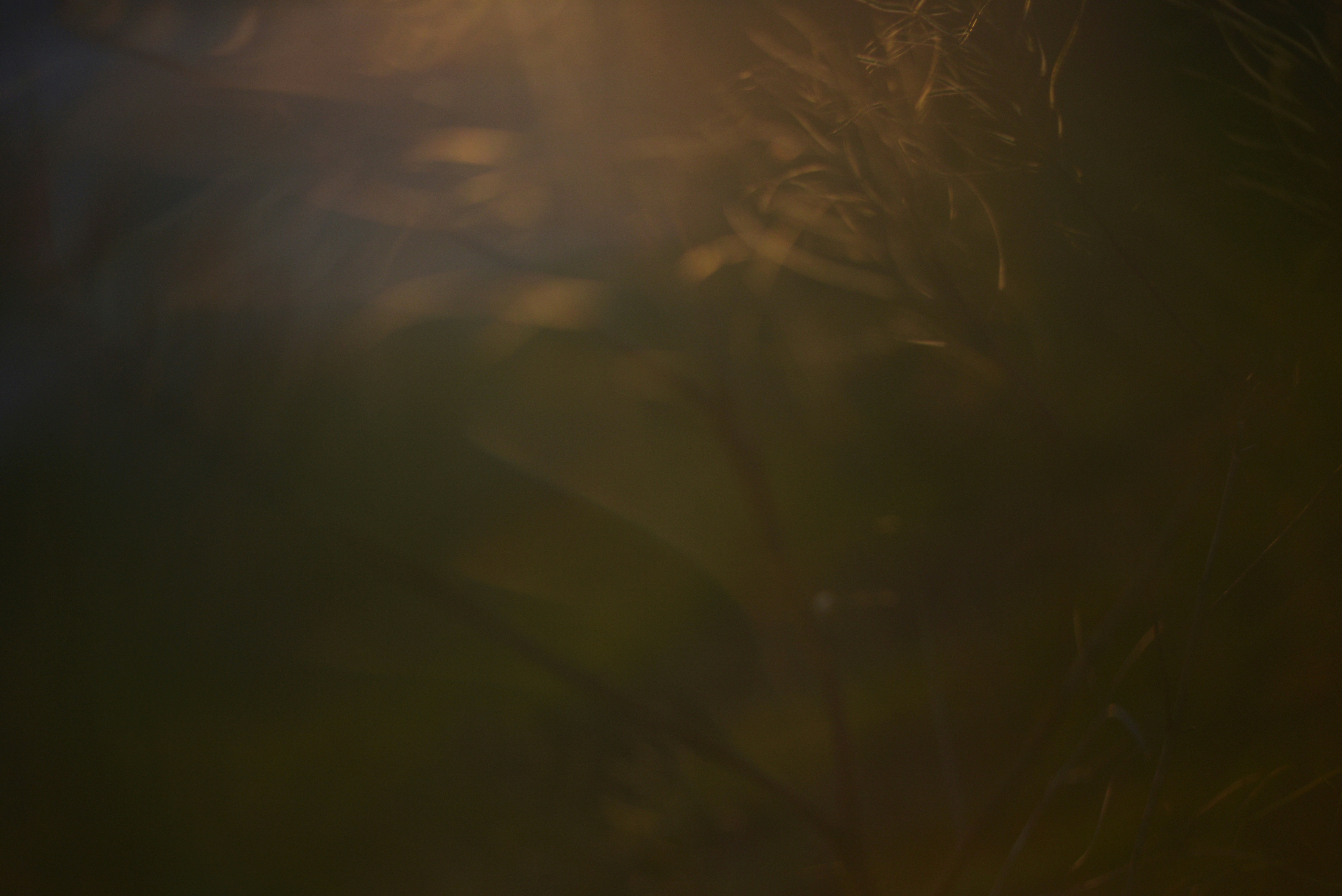 Photo by cherstve_pechivo