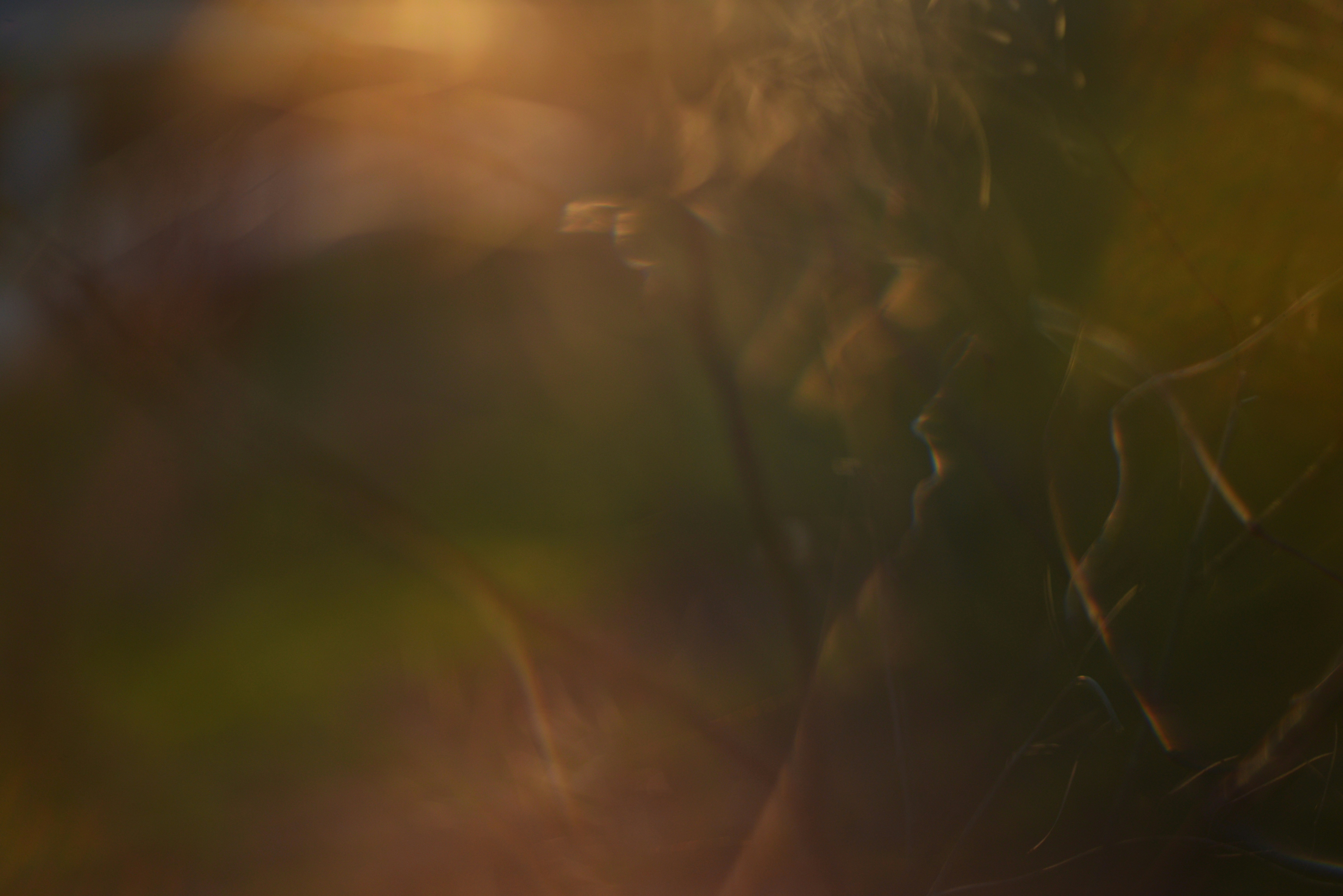 Photo by cherstve_pechivo