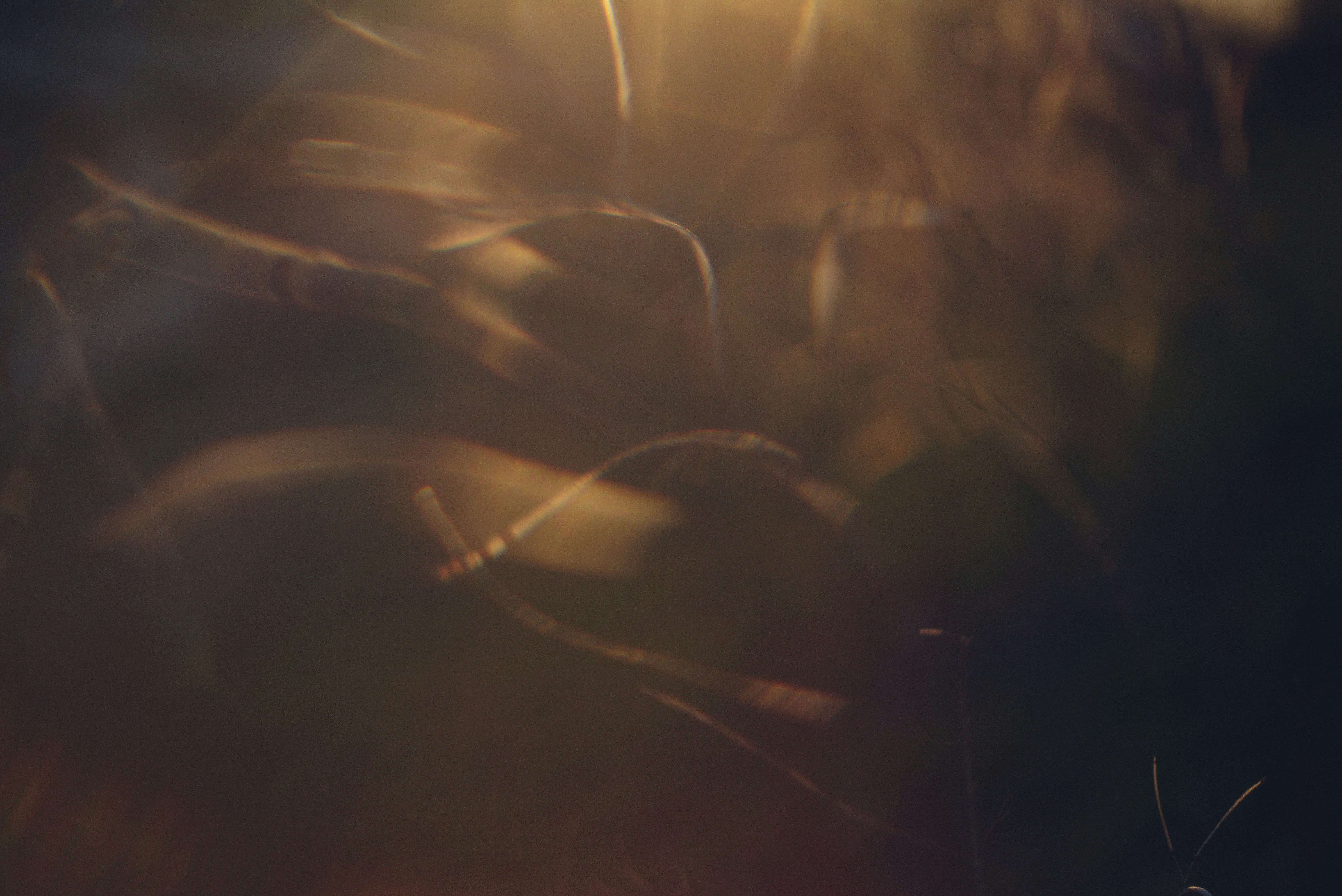 Photo by cherstve_pechivo