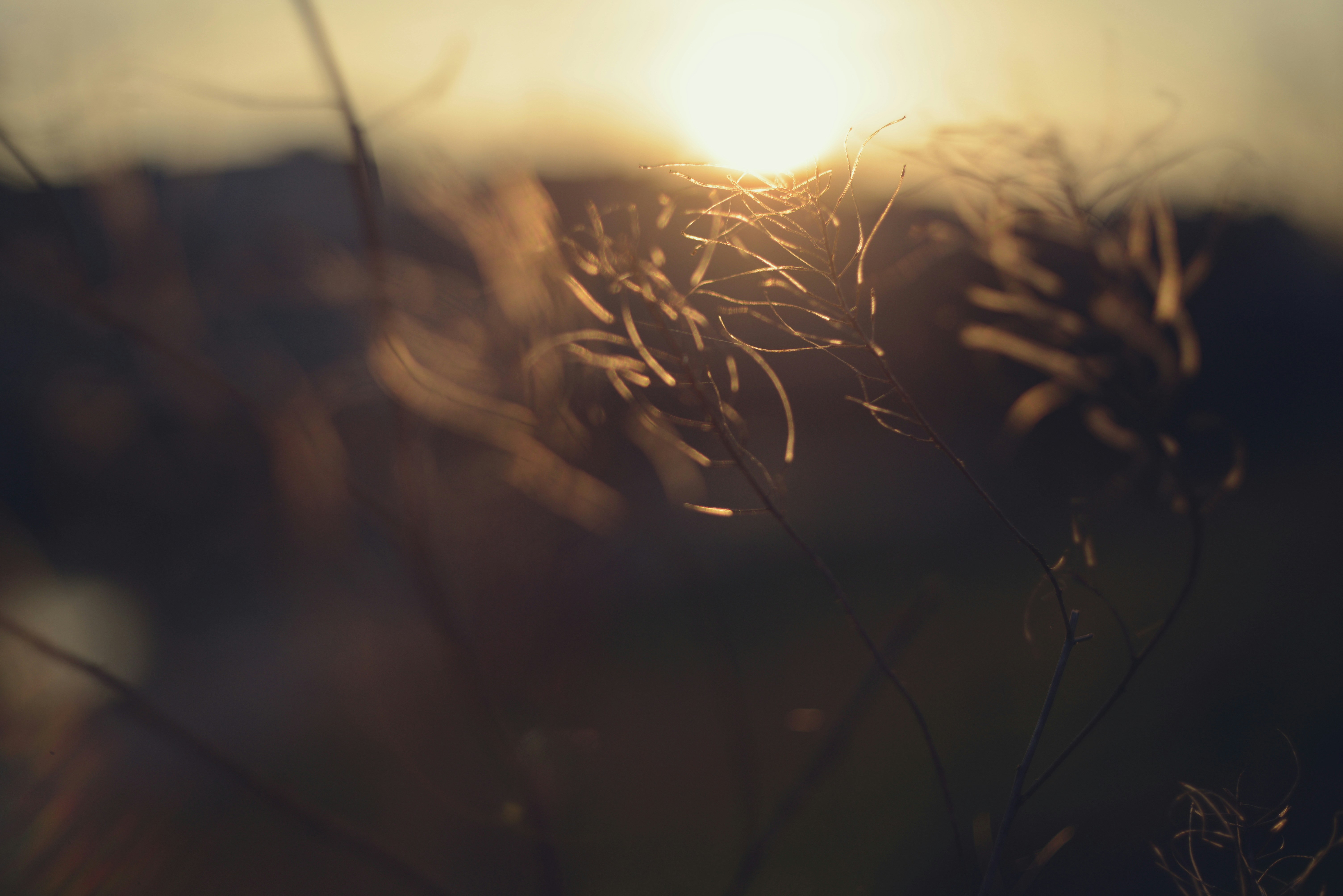 Photo by cherstve_pechivo