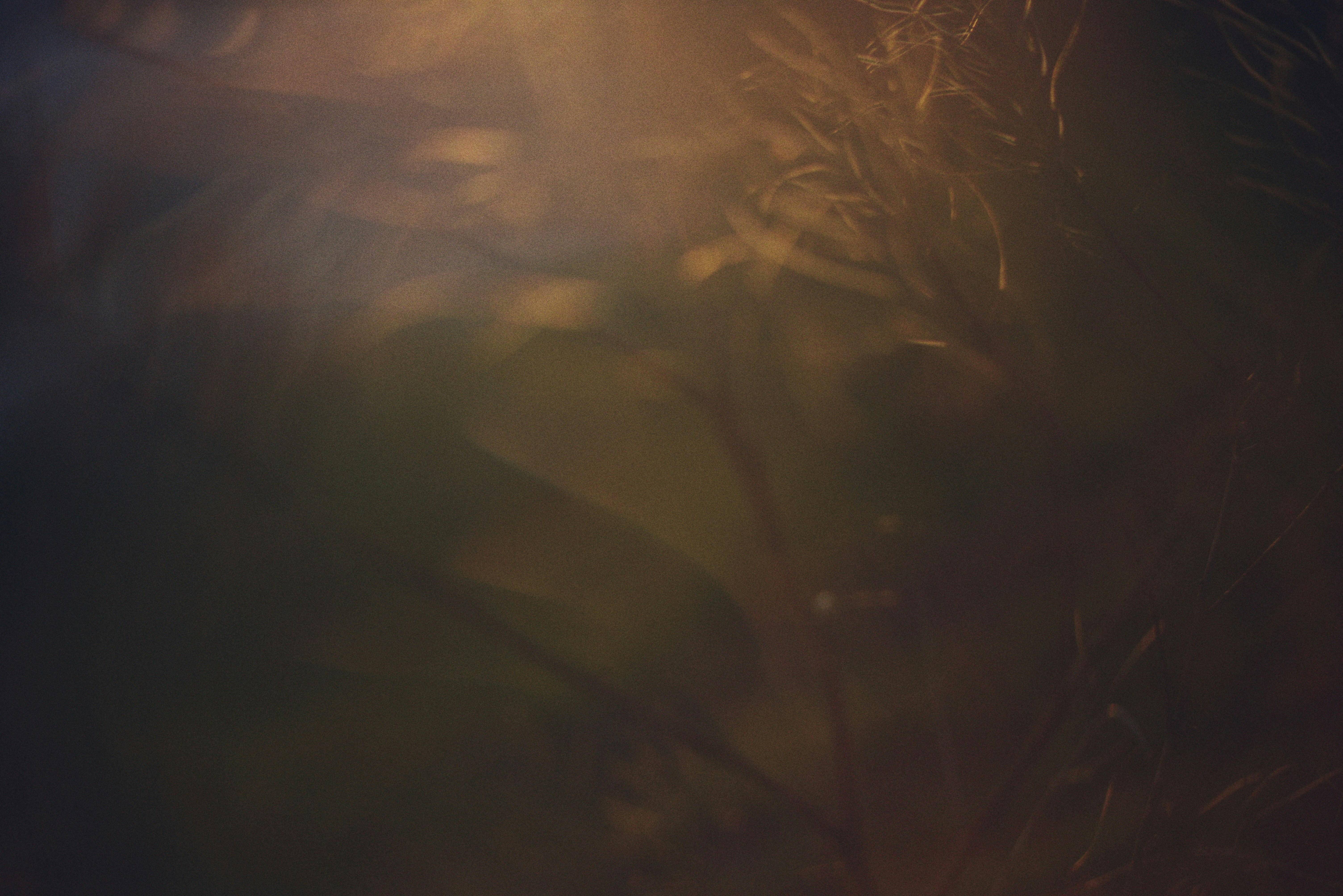 Photo by cherstve_pechivo