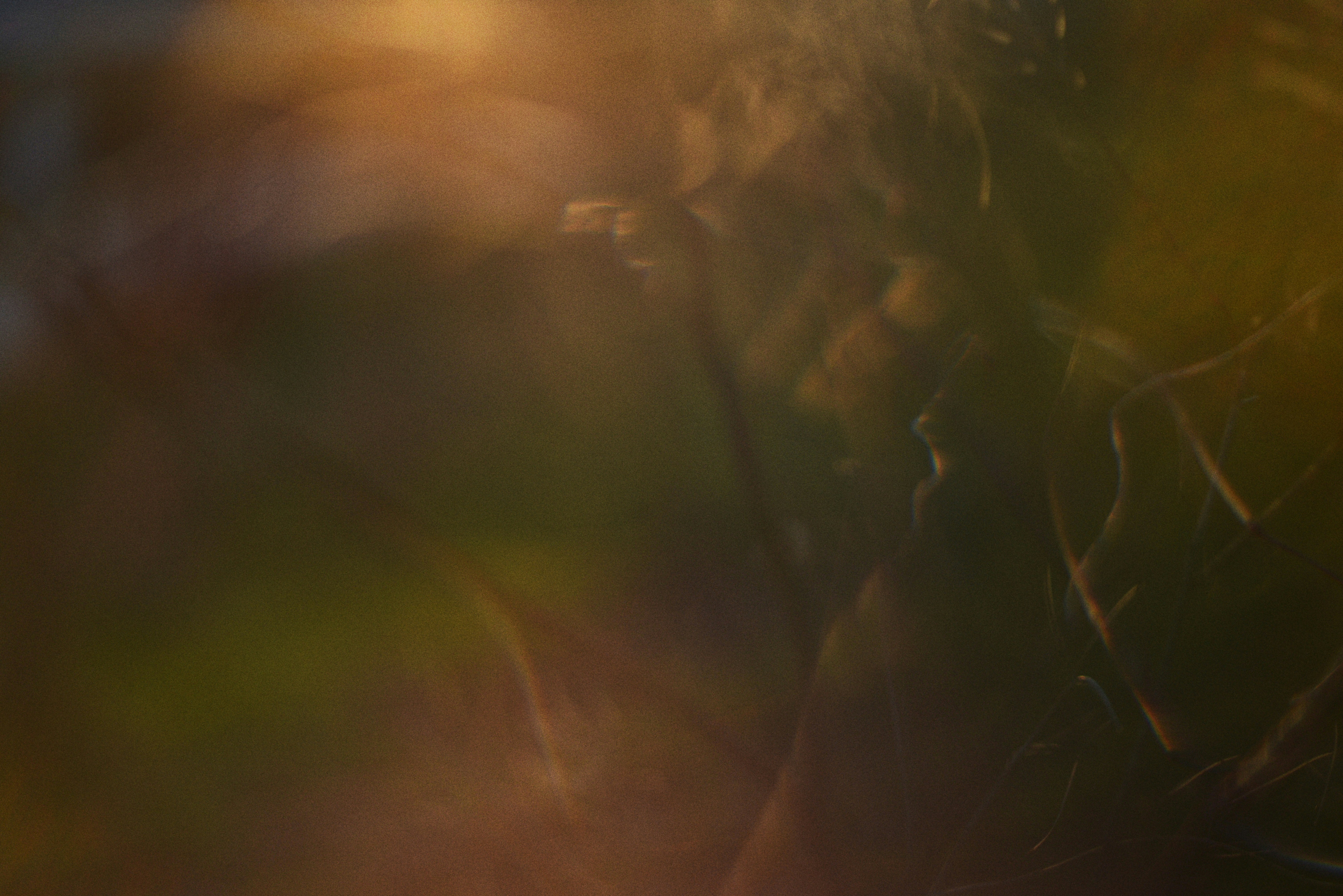 Photo by cherstve_pechivo