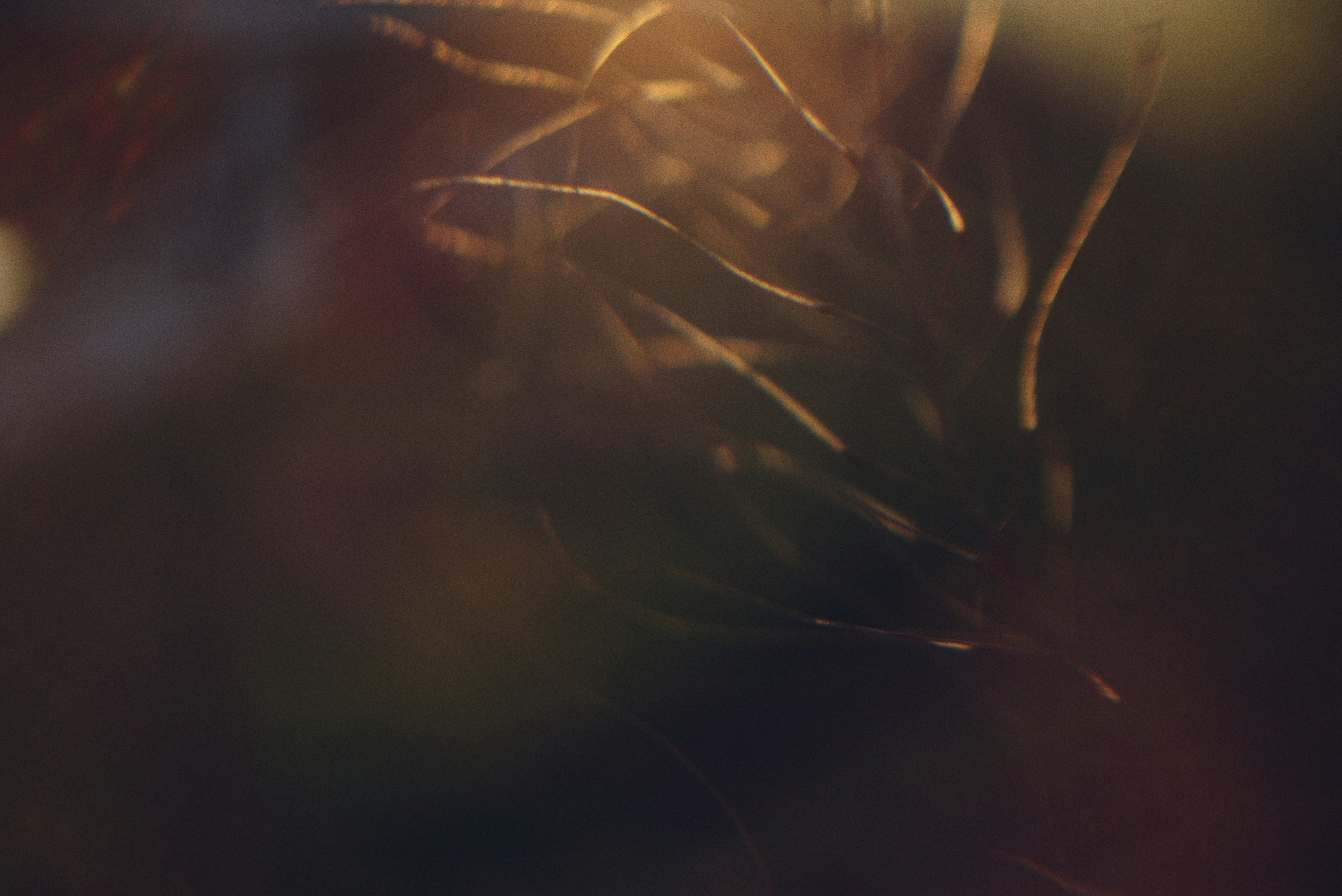 Photo by cherstve_pechivo