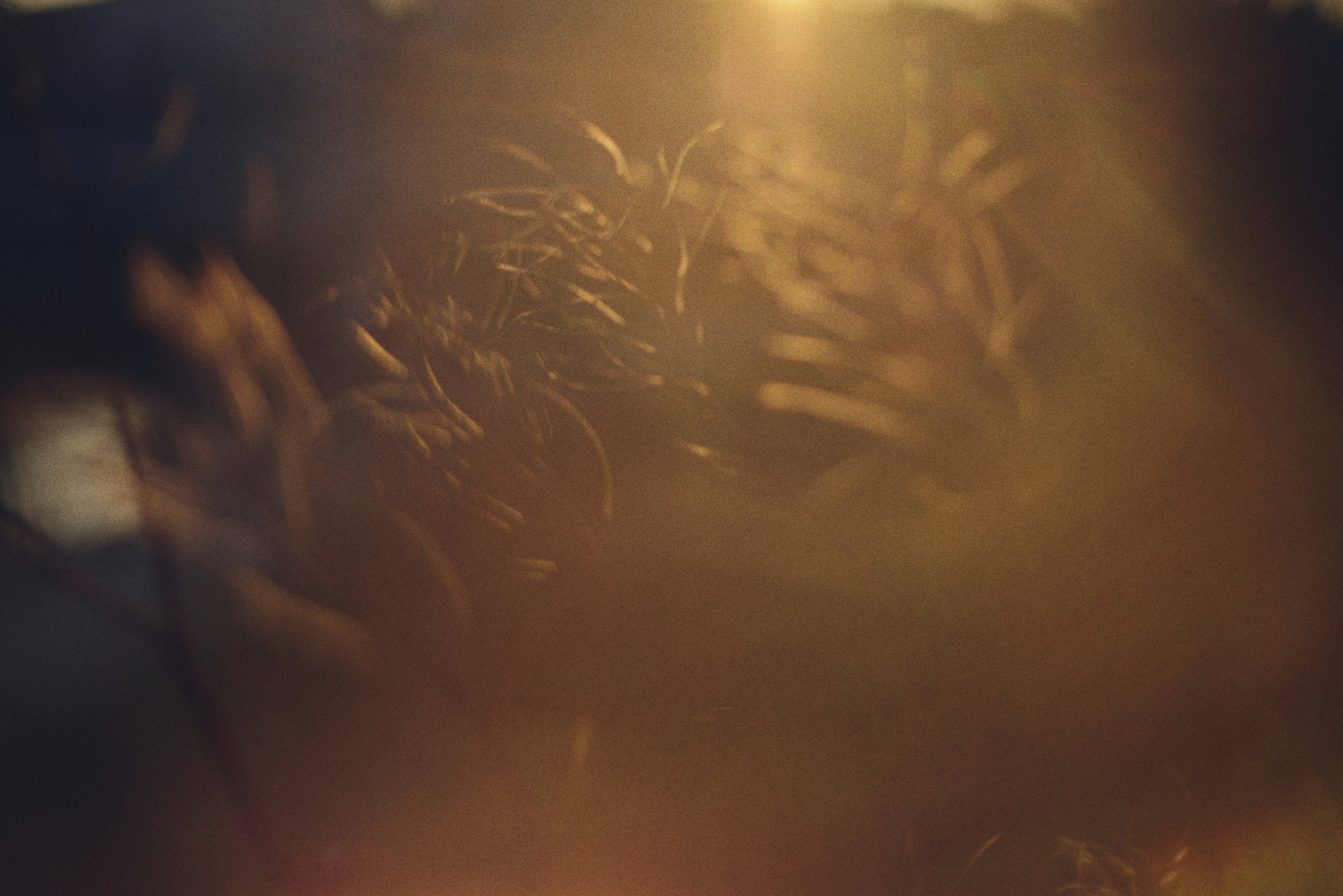 Photo by cherstve_pechivo