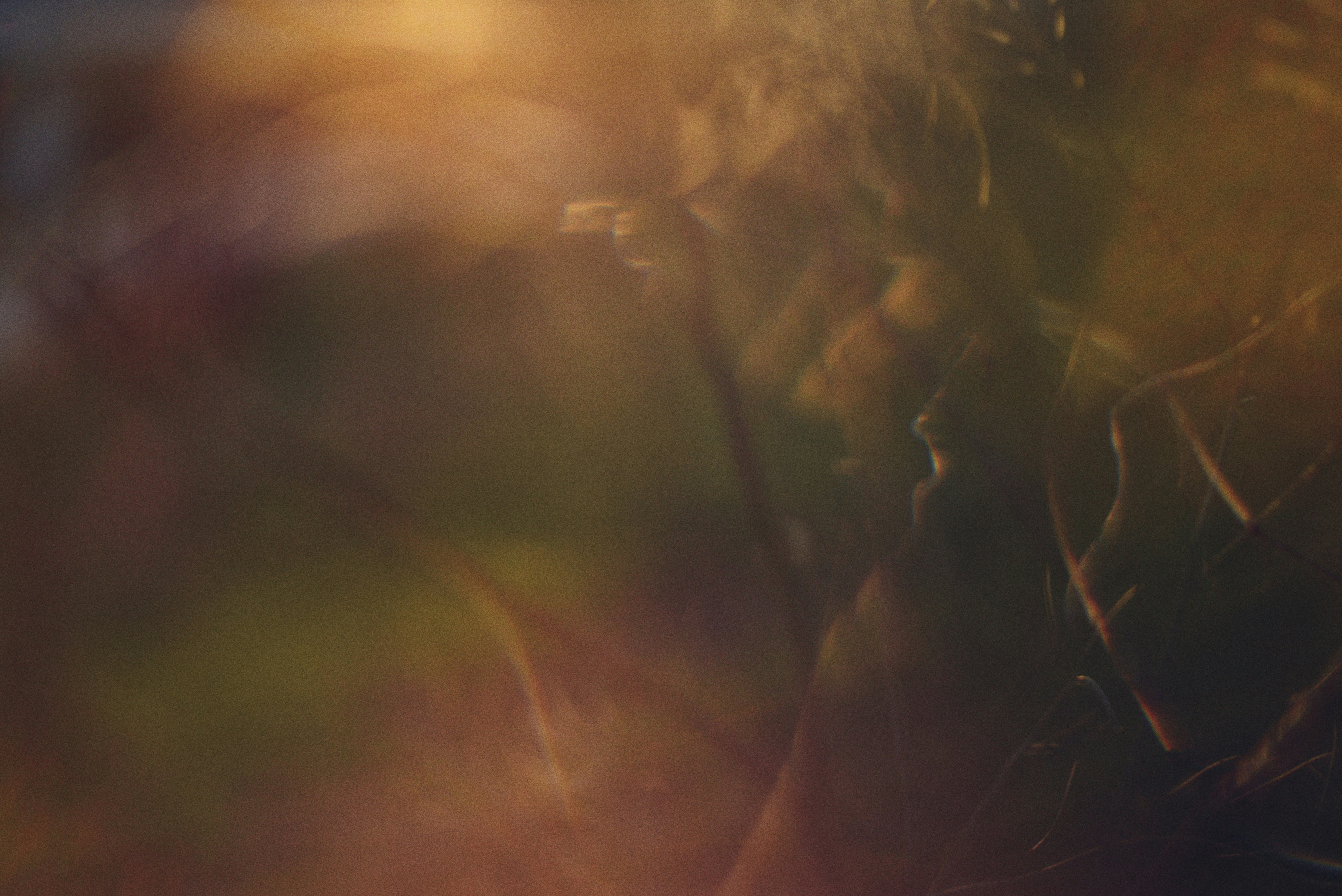 Photo by cherstve_pechivo