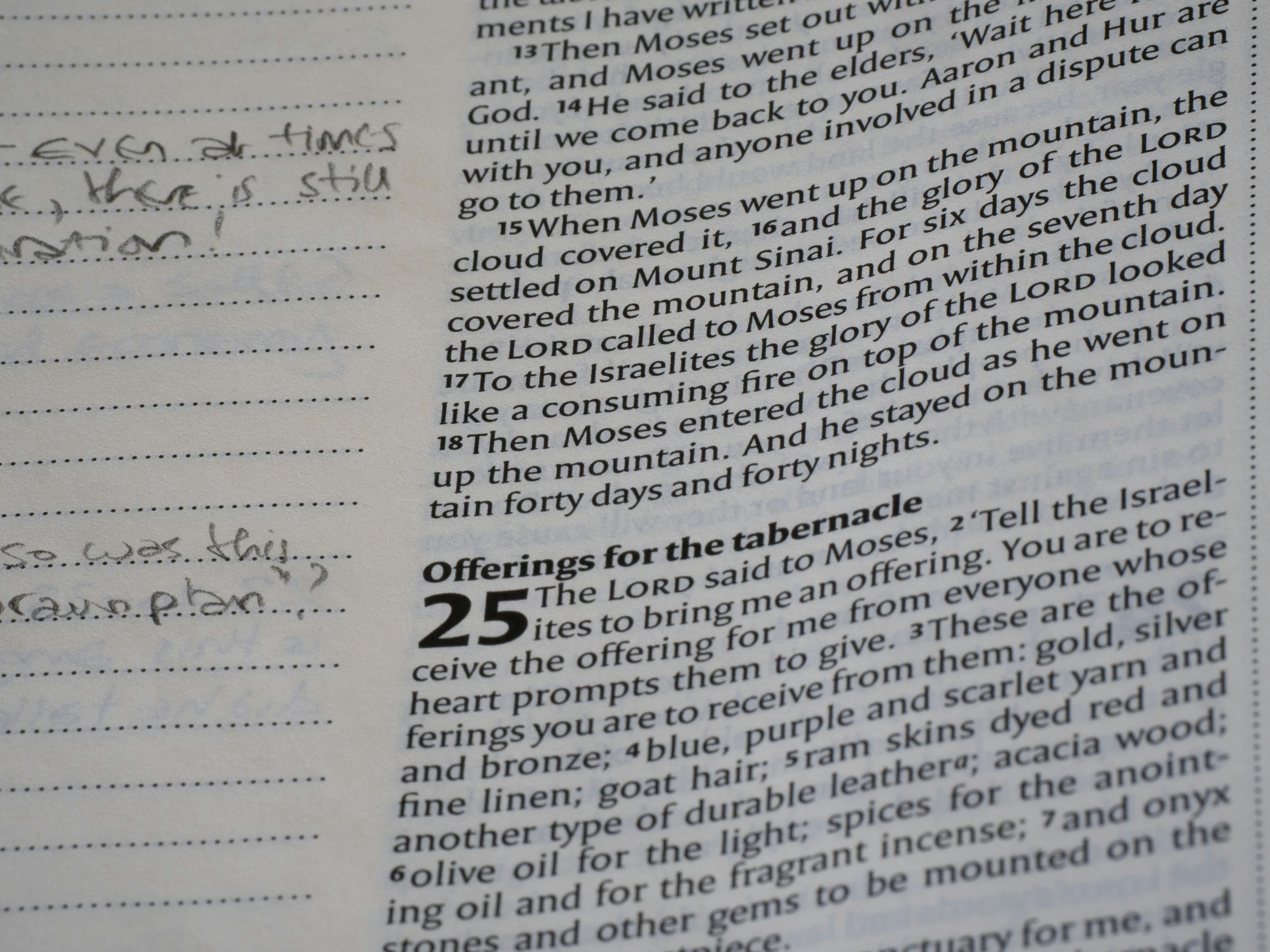 2019 국장 신청 기간