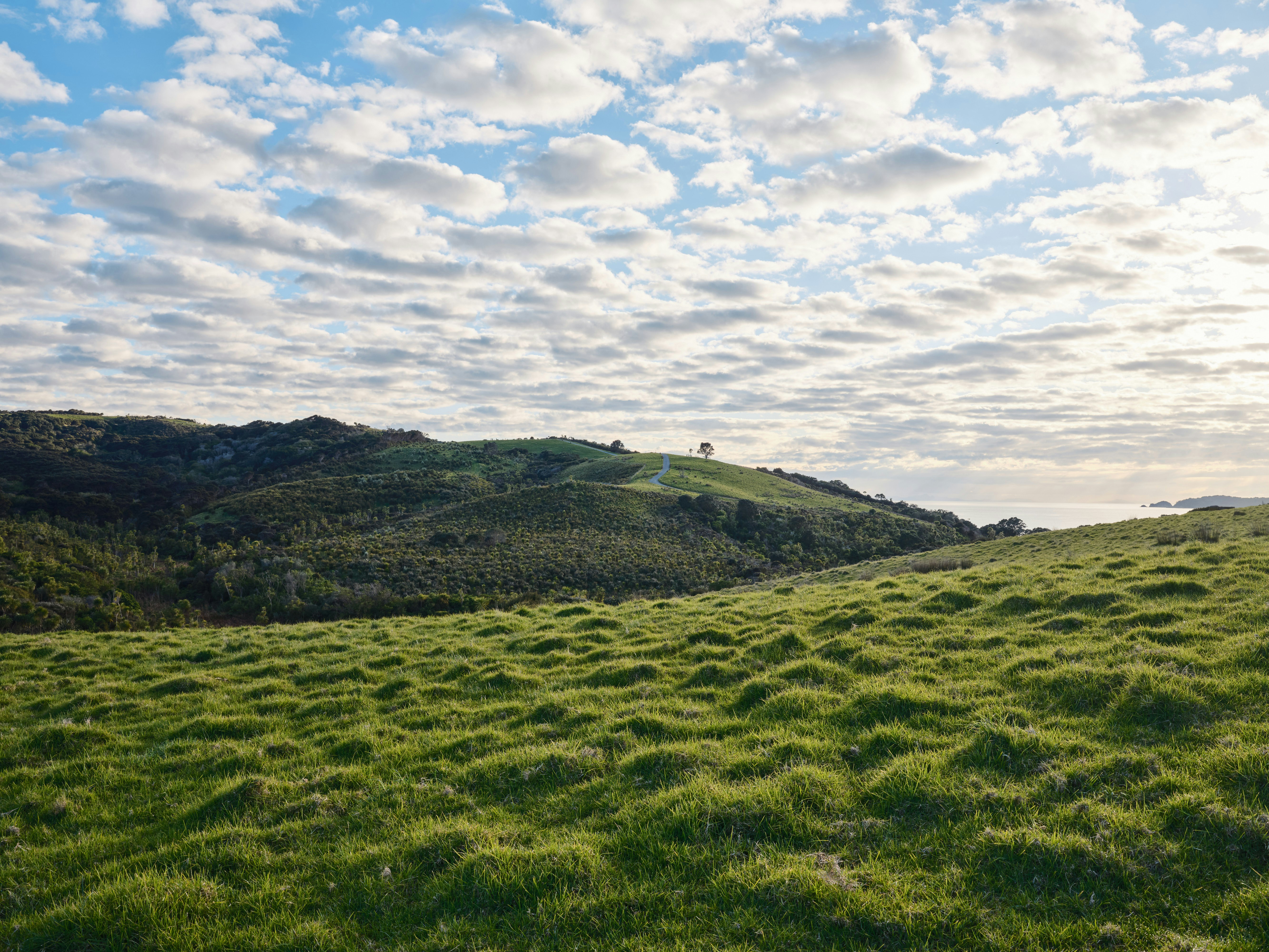 Rolling green hills under a cloudy blue sky
