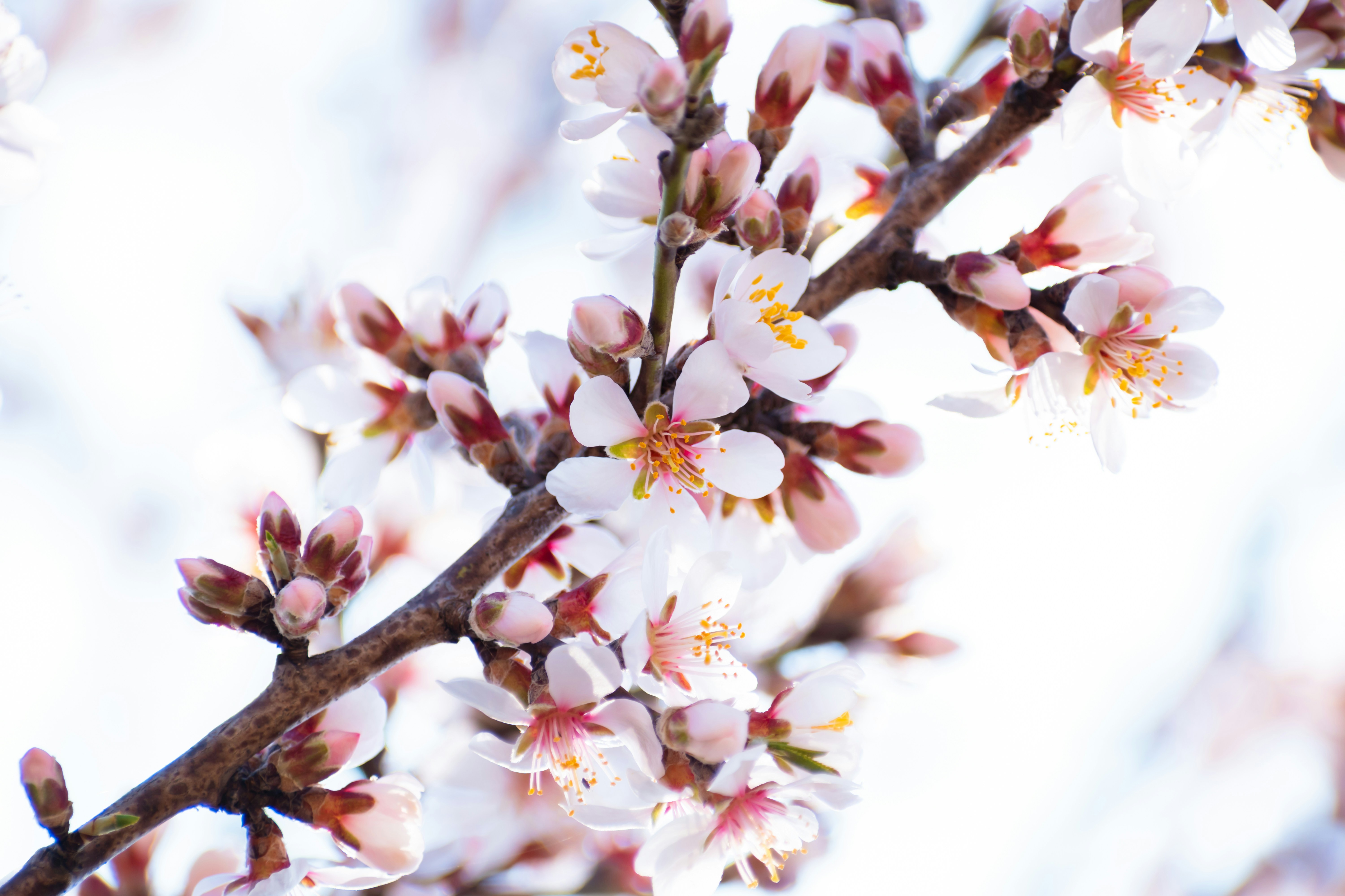 Photo by niki_emmert