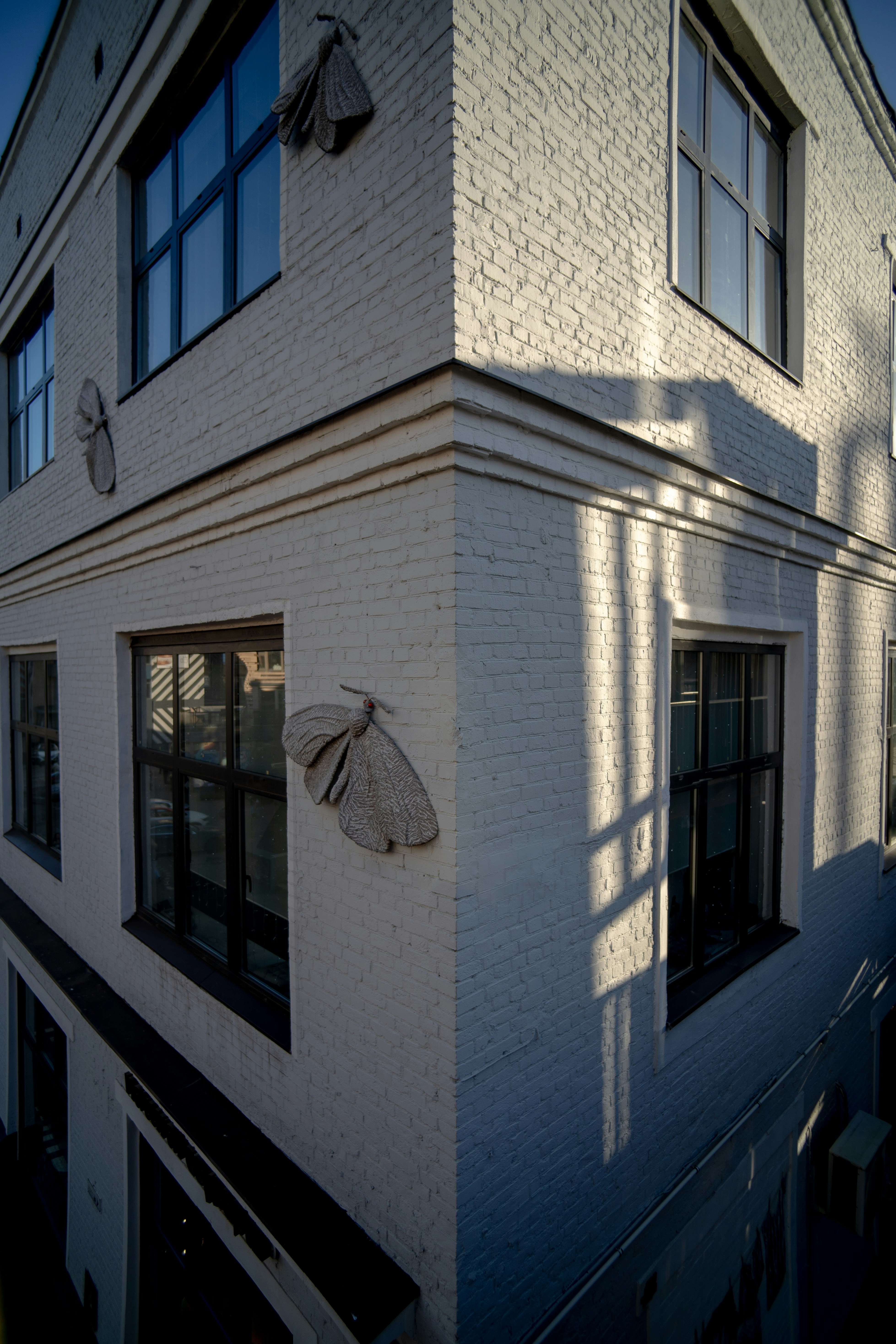 White brick building corner with moth decorations