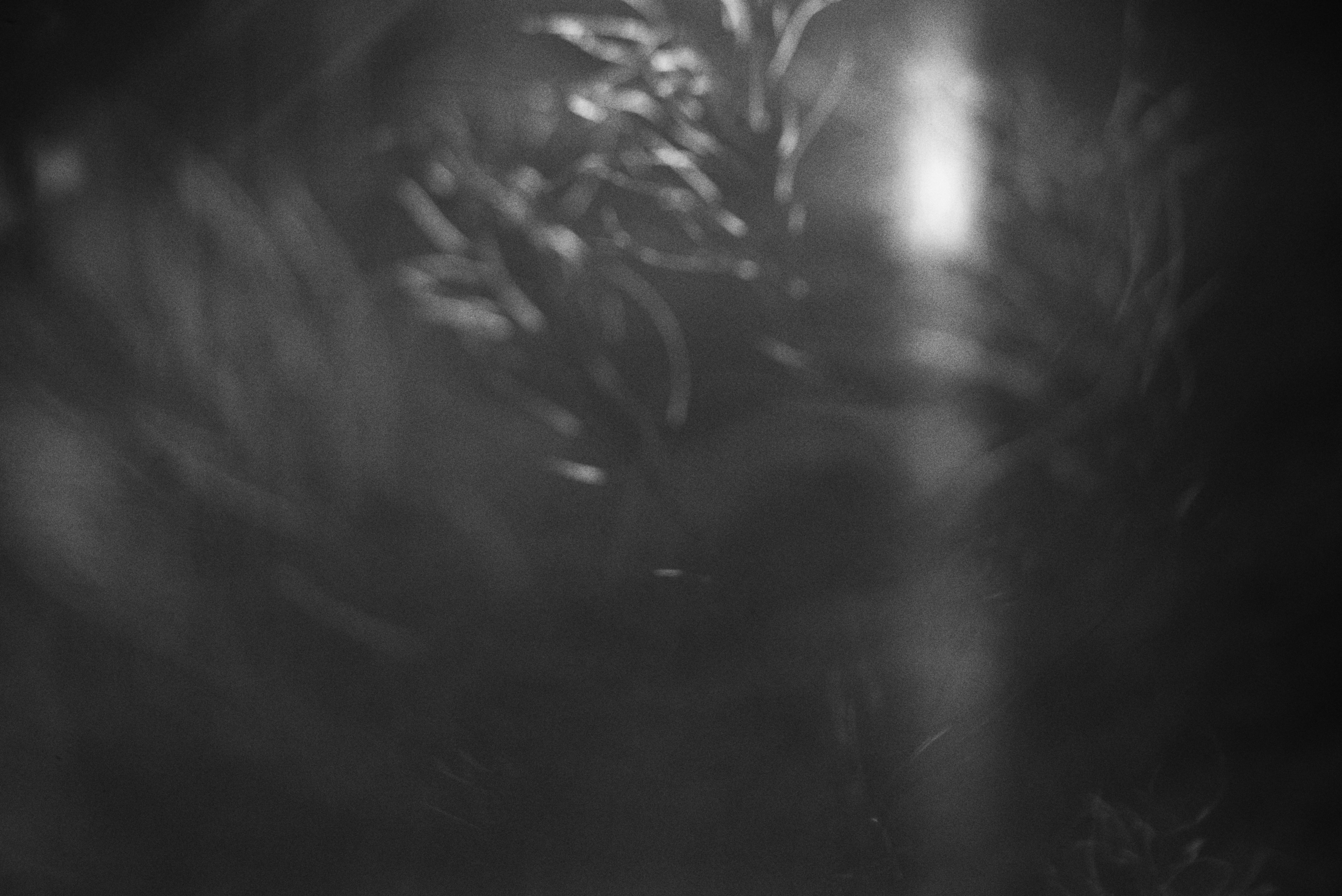 Photo by cherstve_pechivo