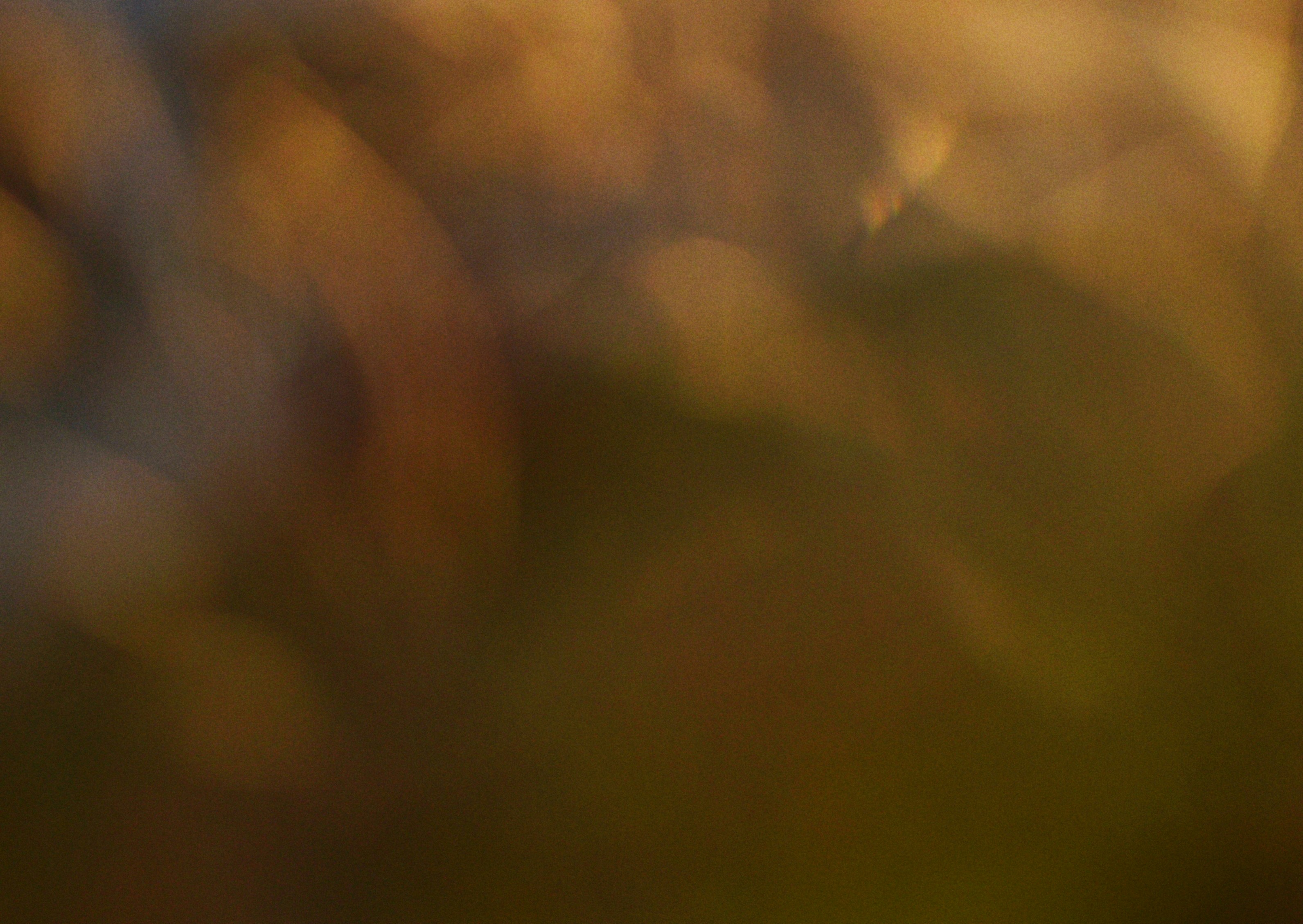 Photo by cherstve_pechivo