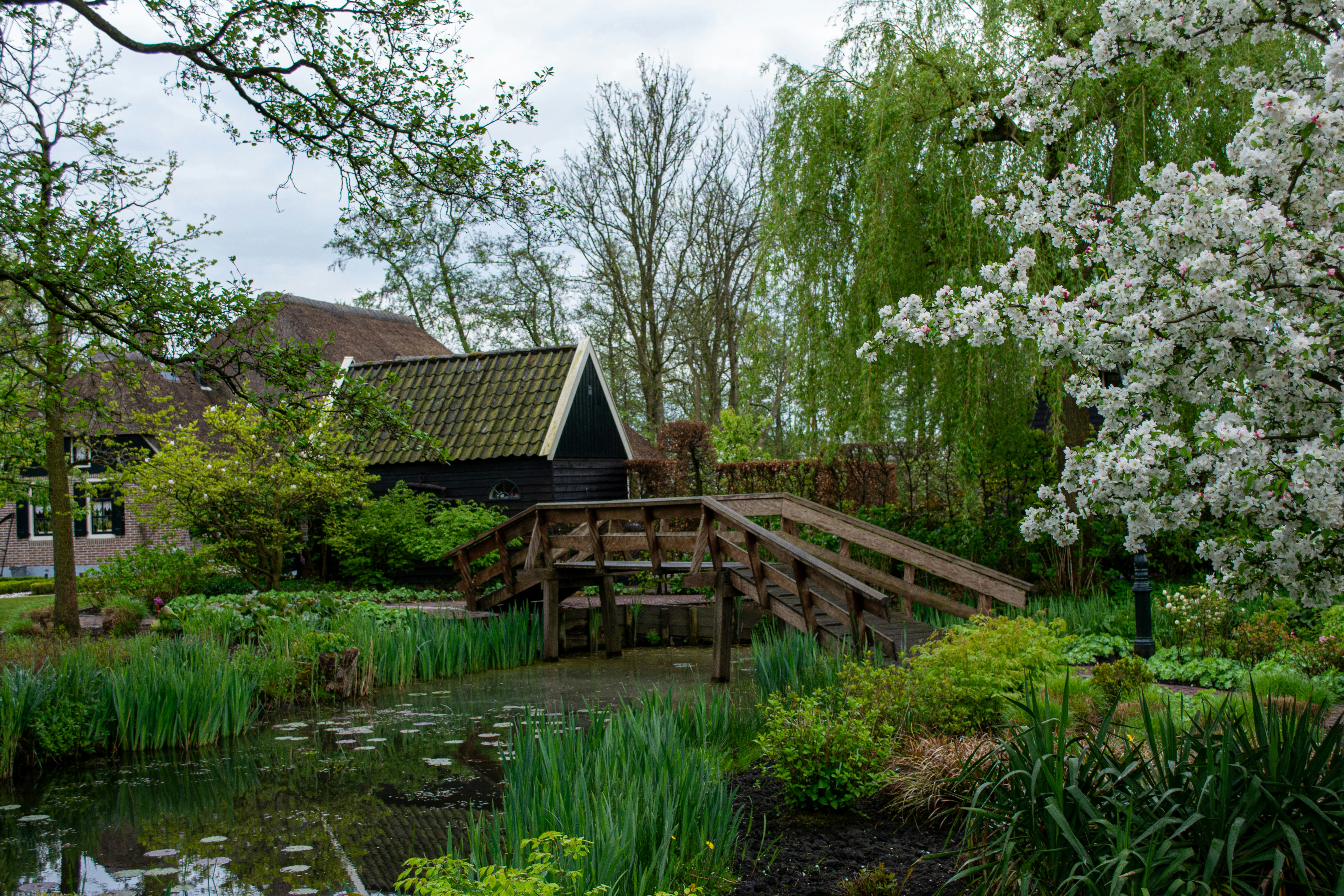 Photo by fabiankleiser