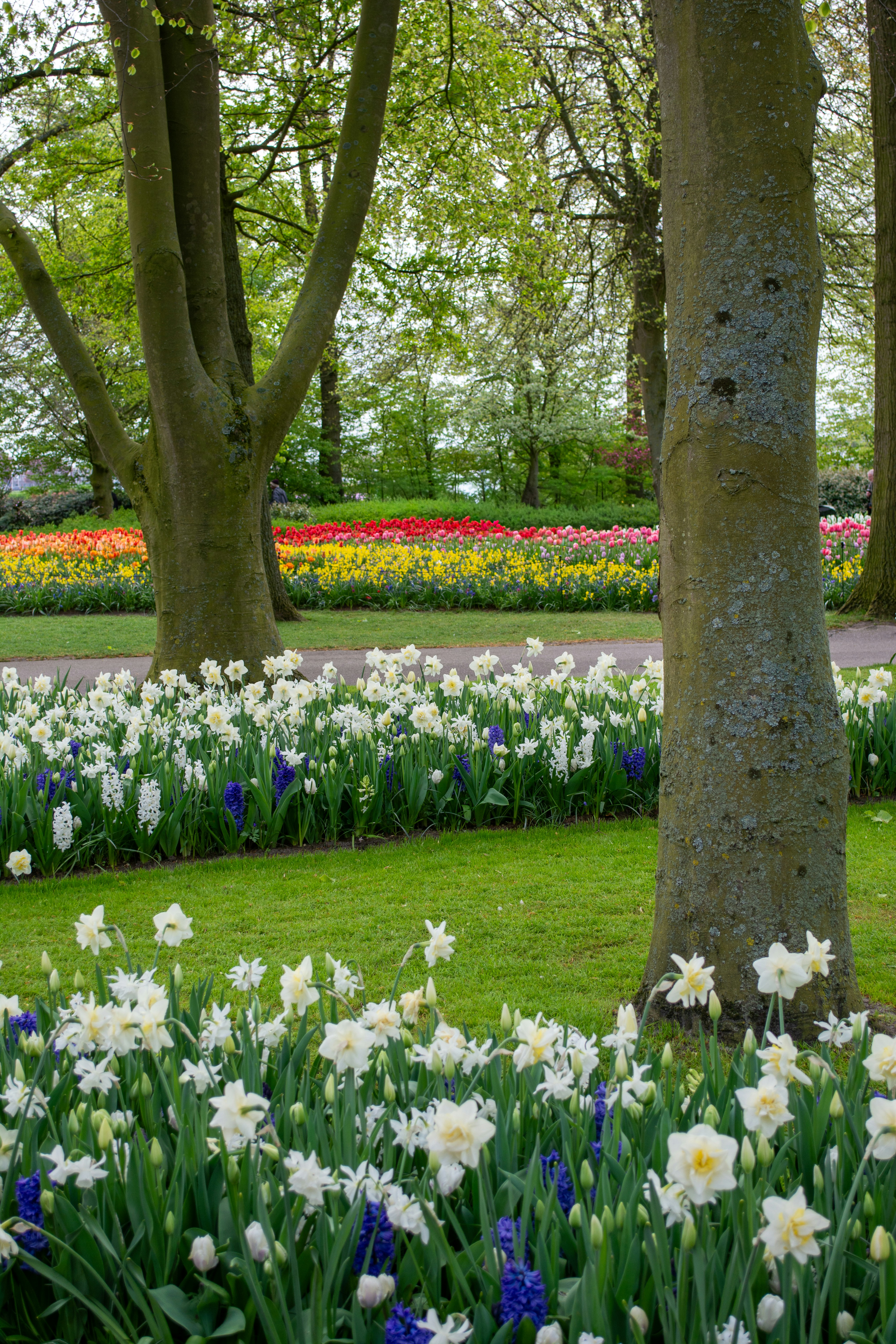 Day-trippers from Amsterdam or elsewhere in the Netherlands