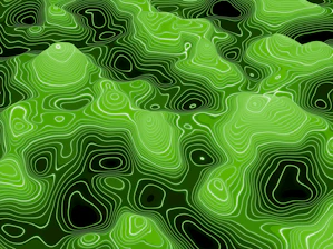 Abstract green topographic map with contour lines