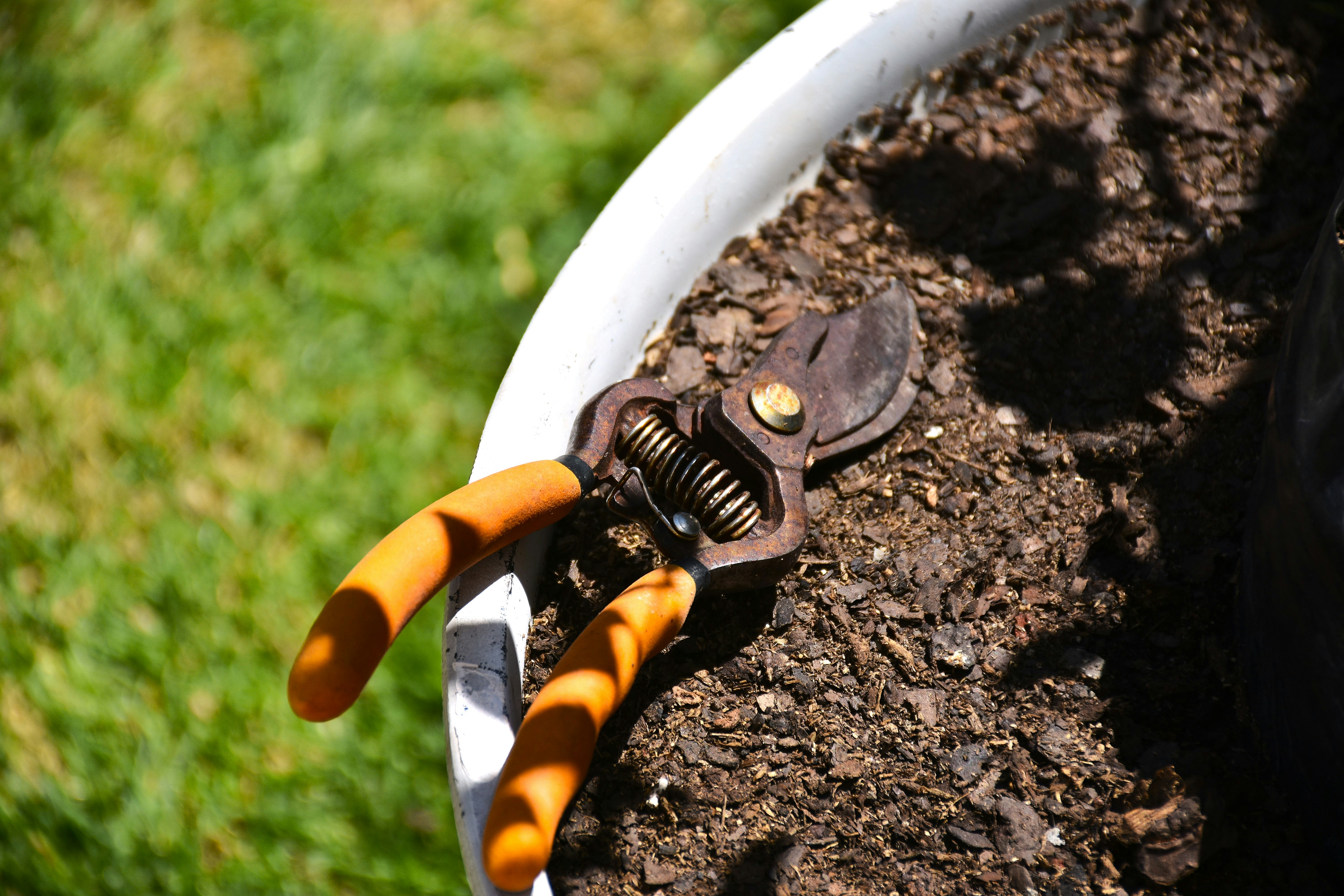spring garden maintenance