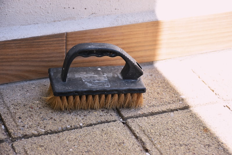Scrubbing brush ready for carpet care