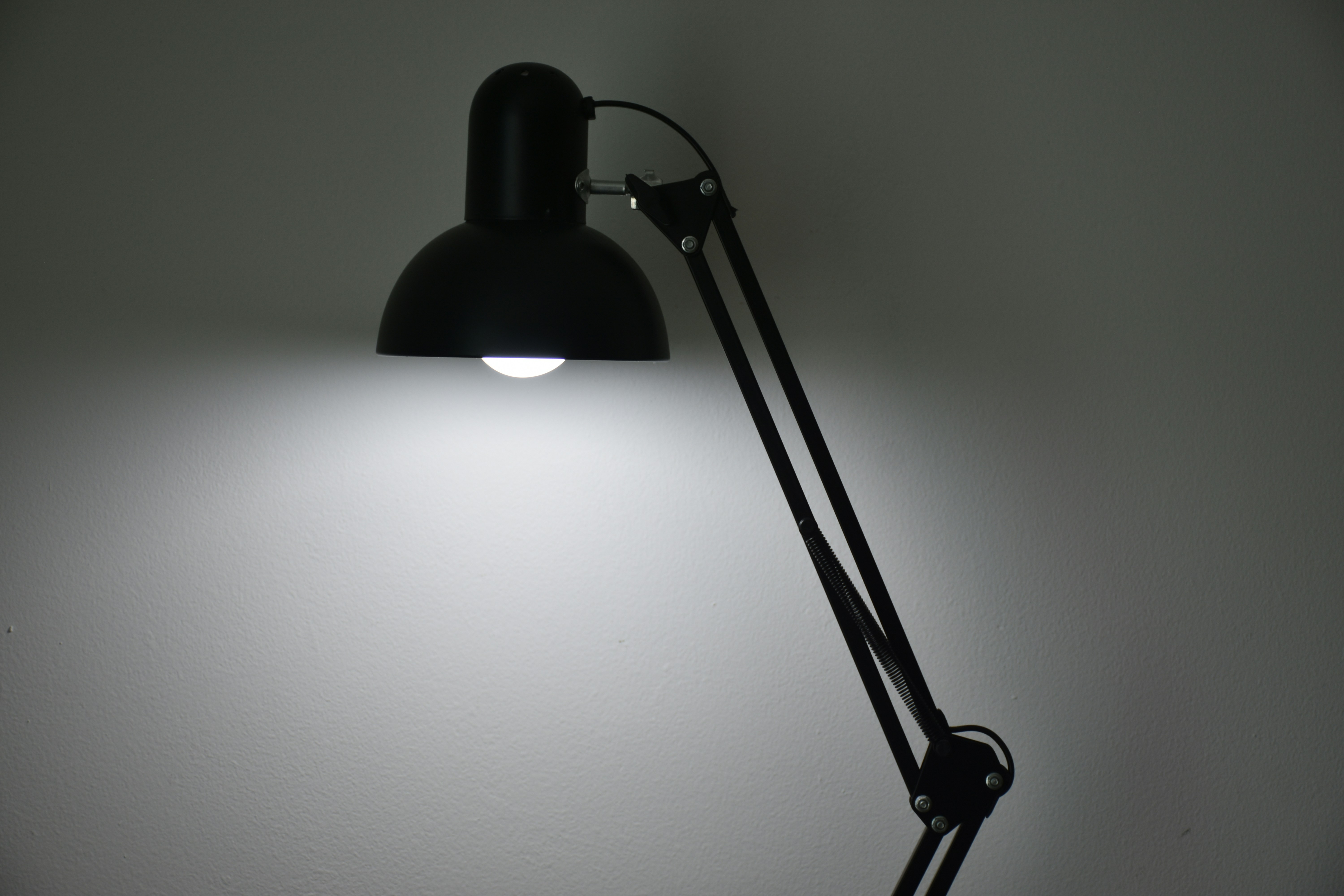 Photo by luigy_ghost