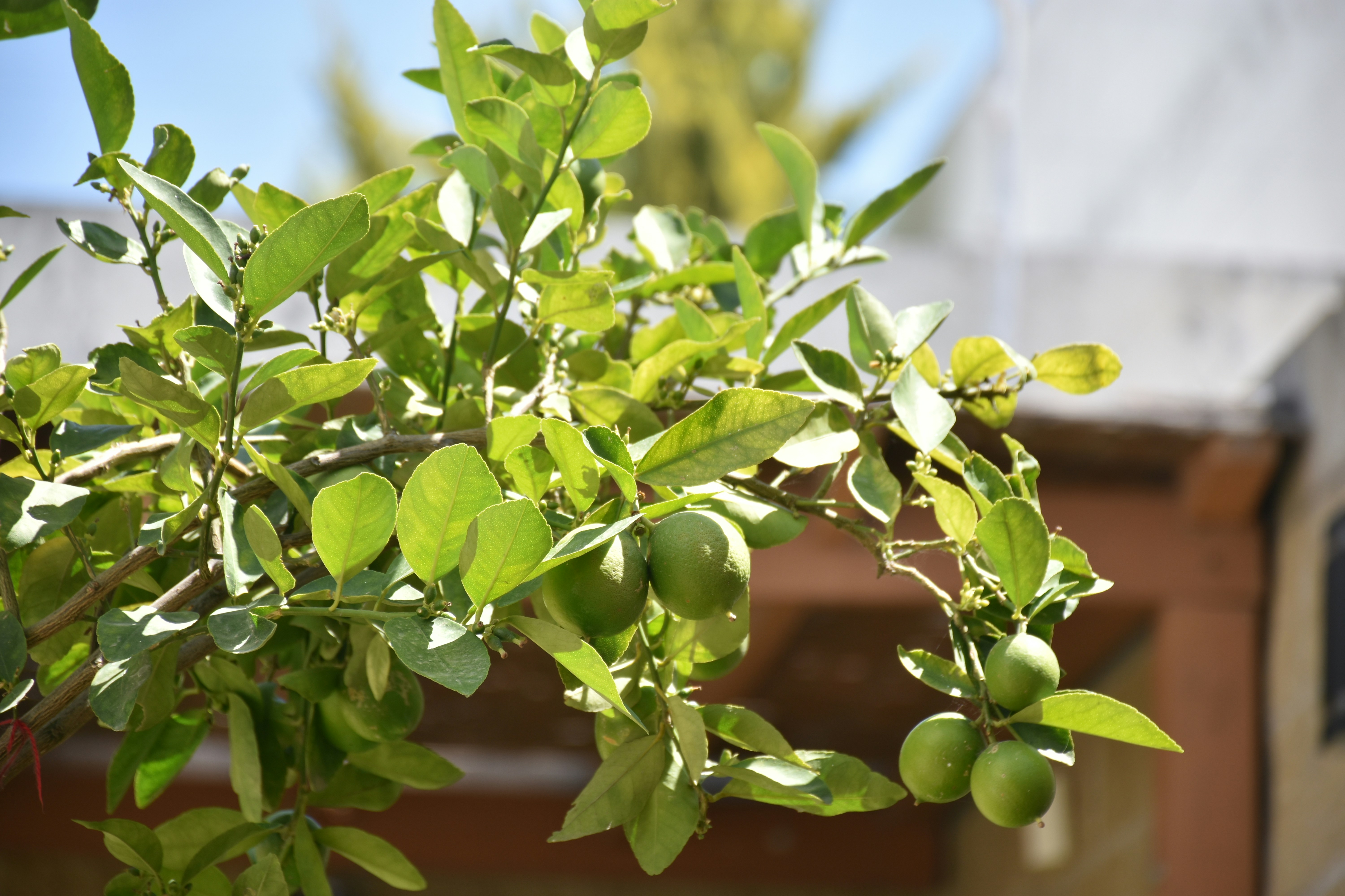 Photo by luigy_ghost