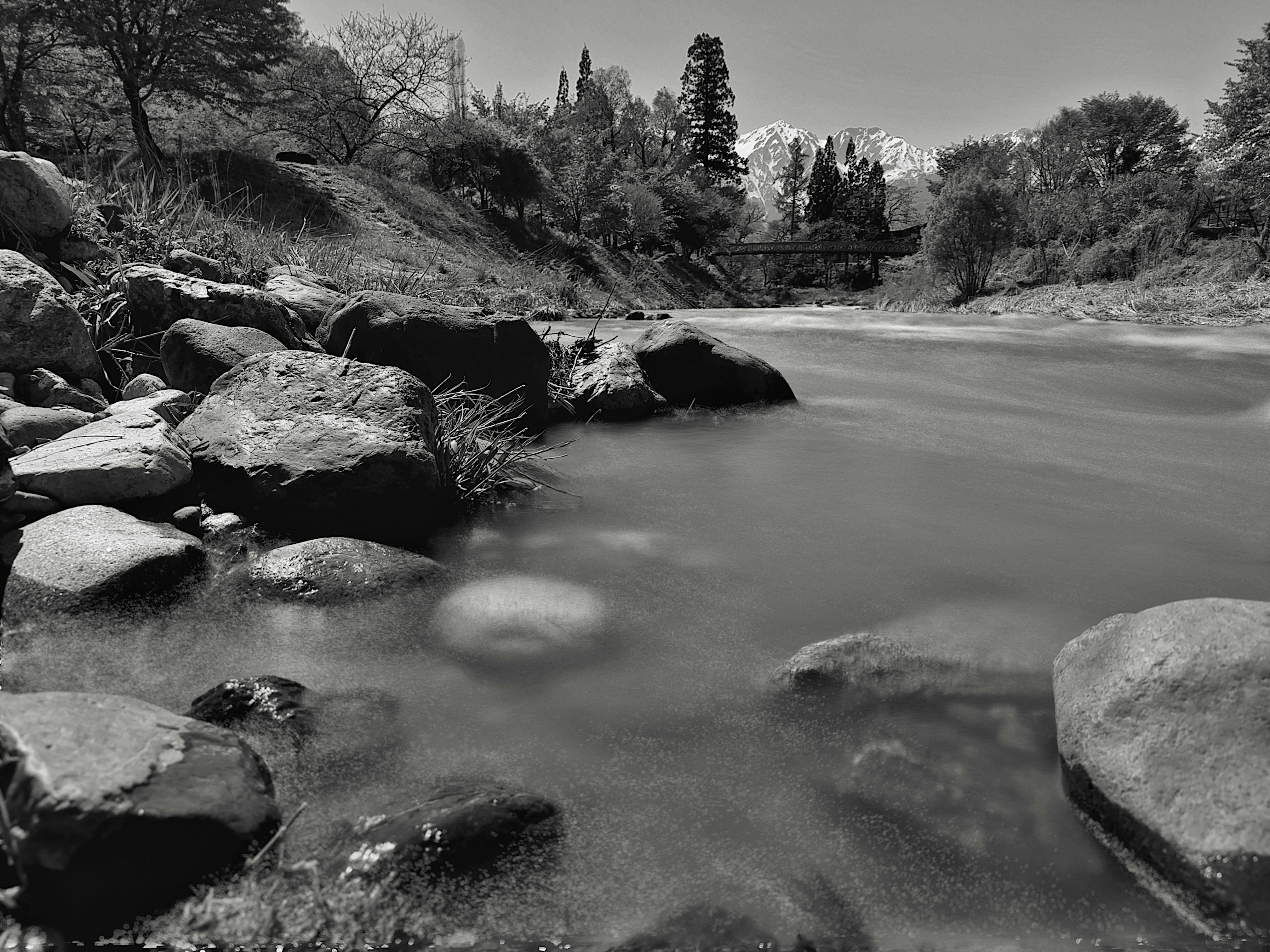 River flowing past rocks in a forest landscape