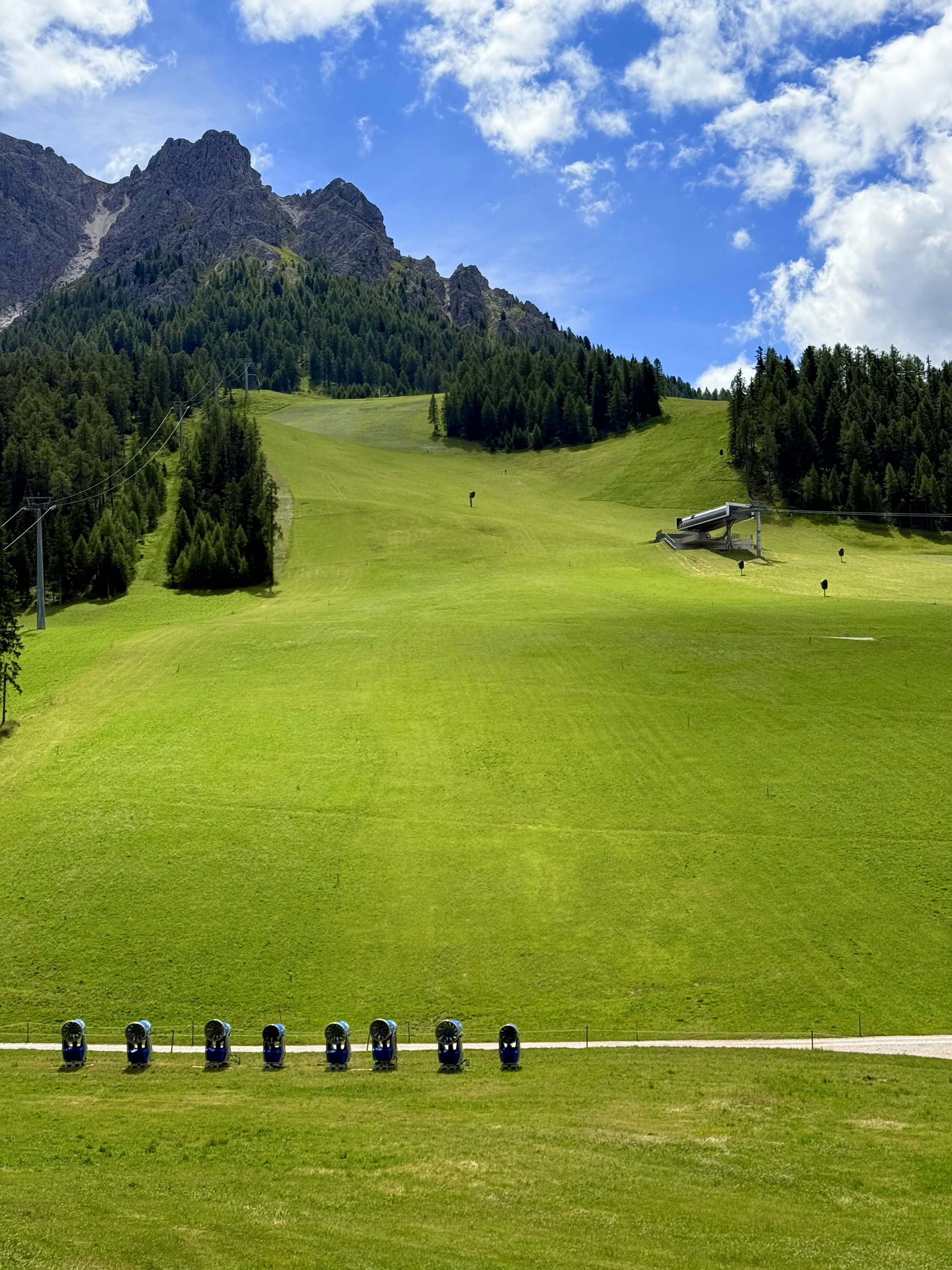 Pista da sci verde con montagne e alberi sotto il cielo azzurro