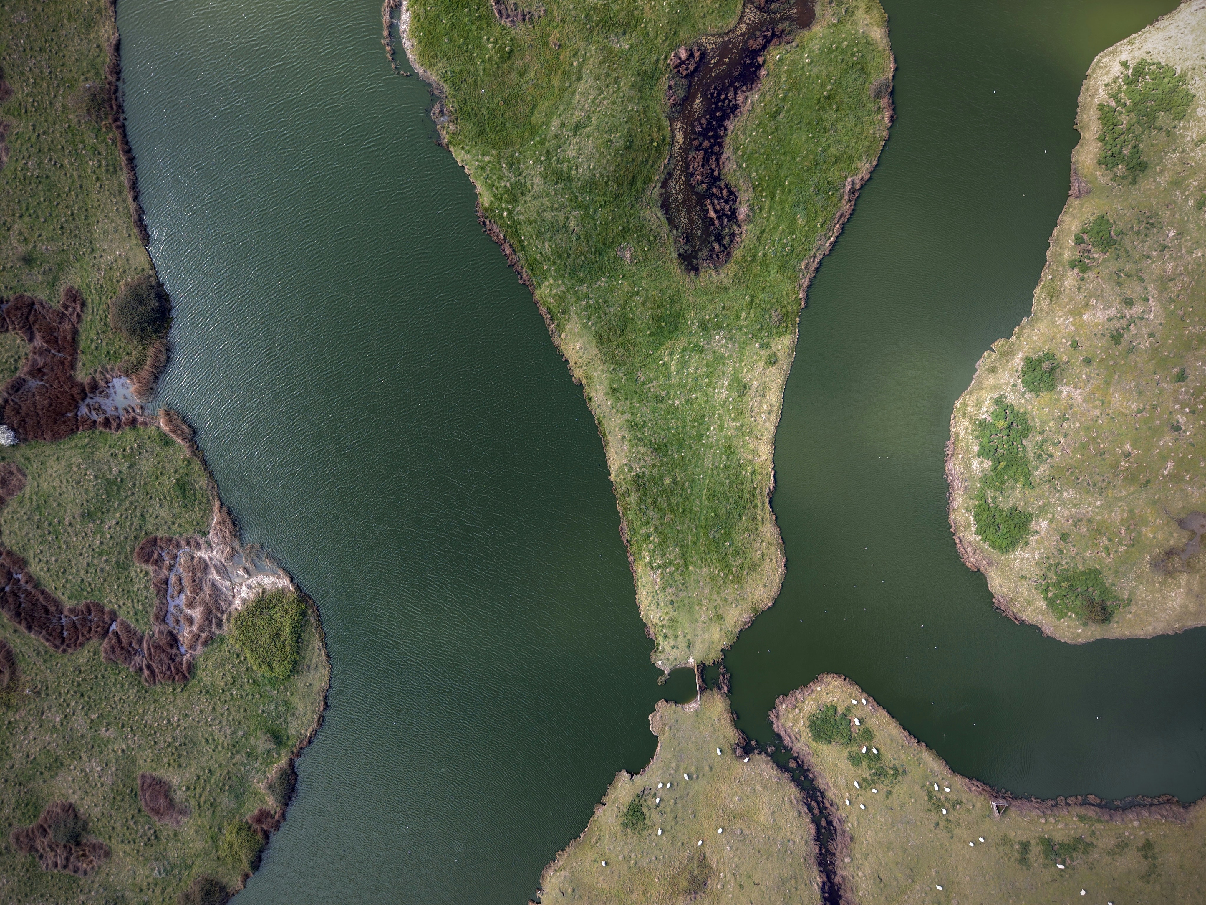 Photo by arjun_myanger