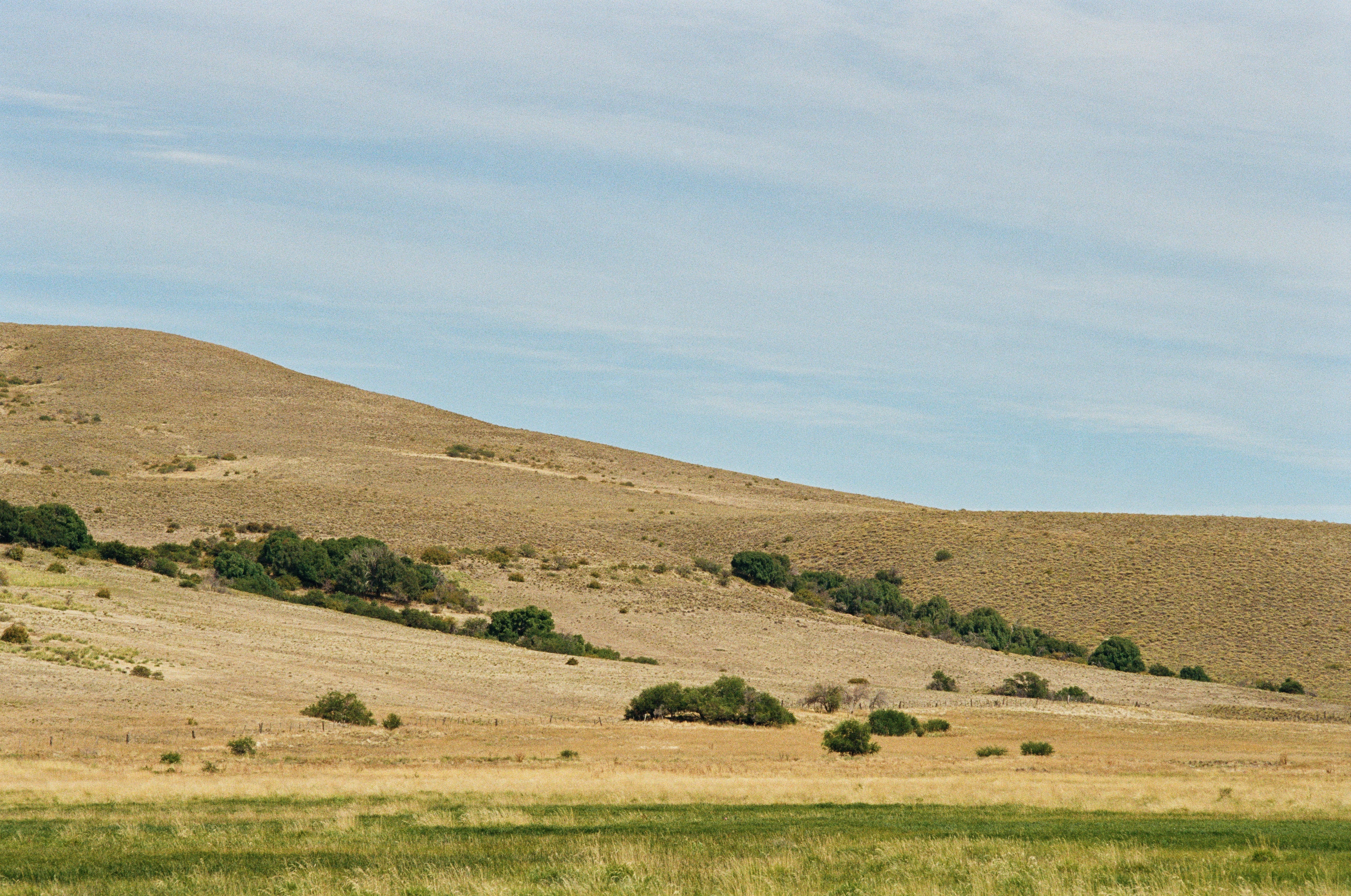 Photo by dtiberio