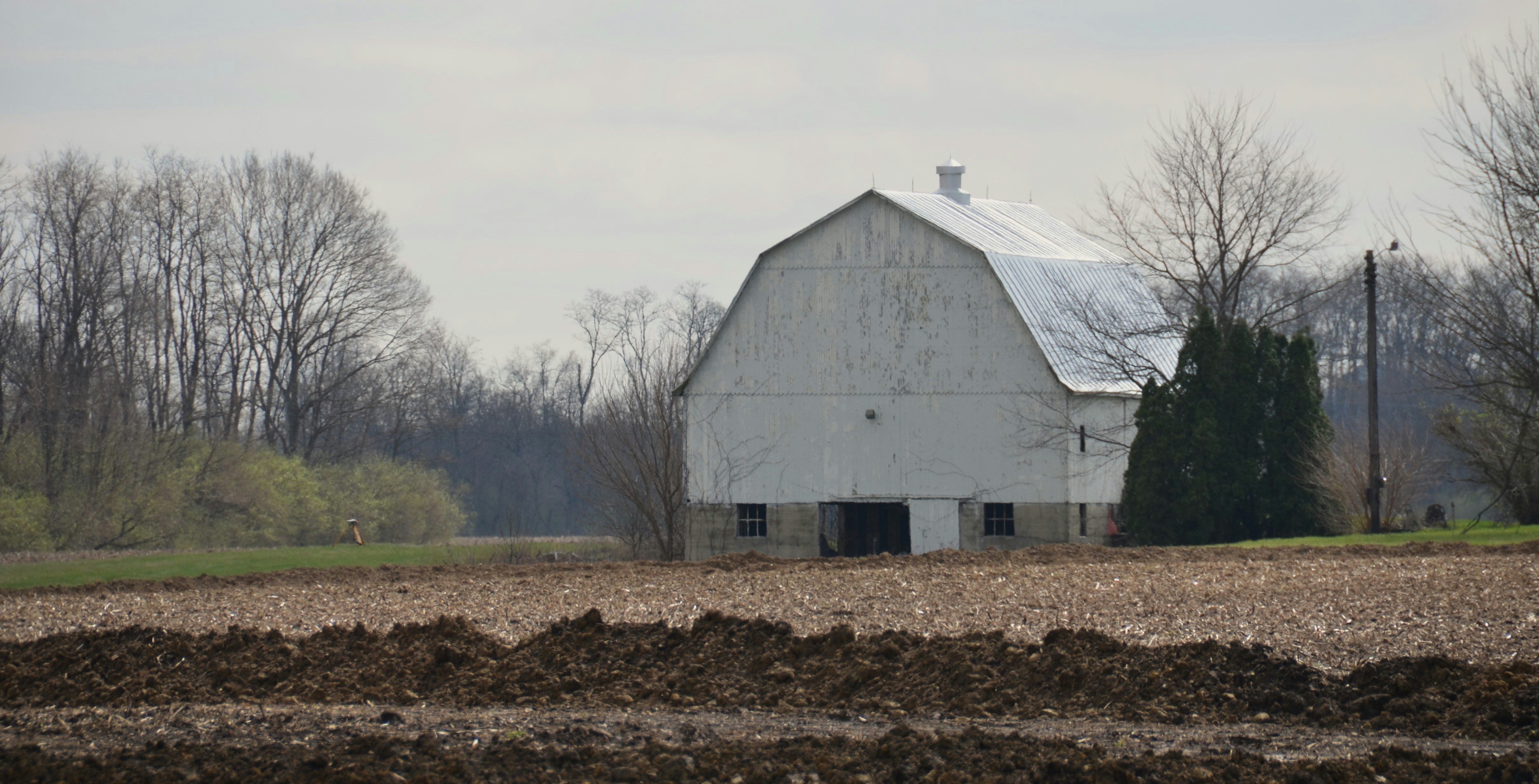 Assembly Lines and Alfalfa: The Rise and Ruin of America's Industrial Farm Utopias