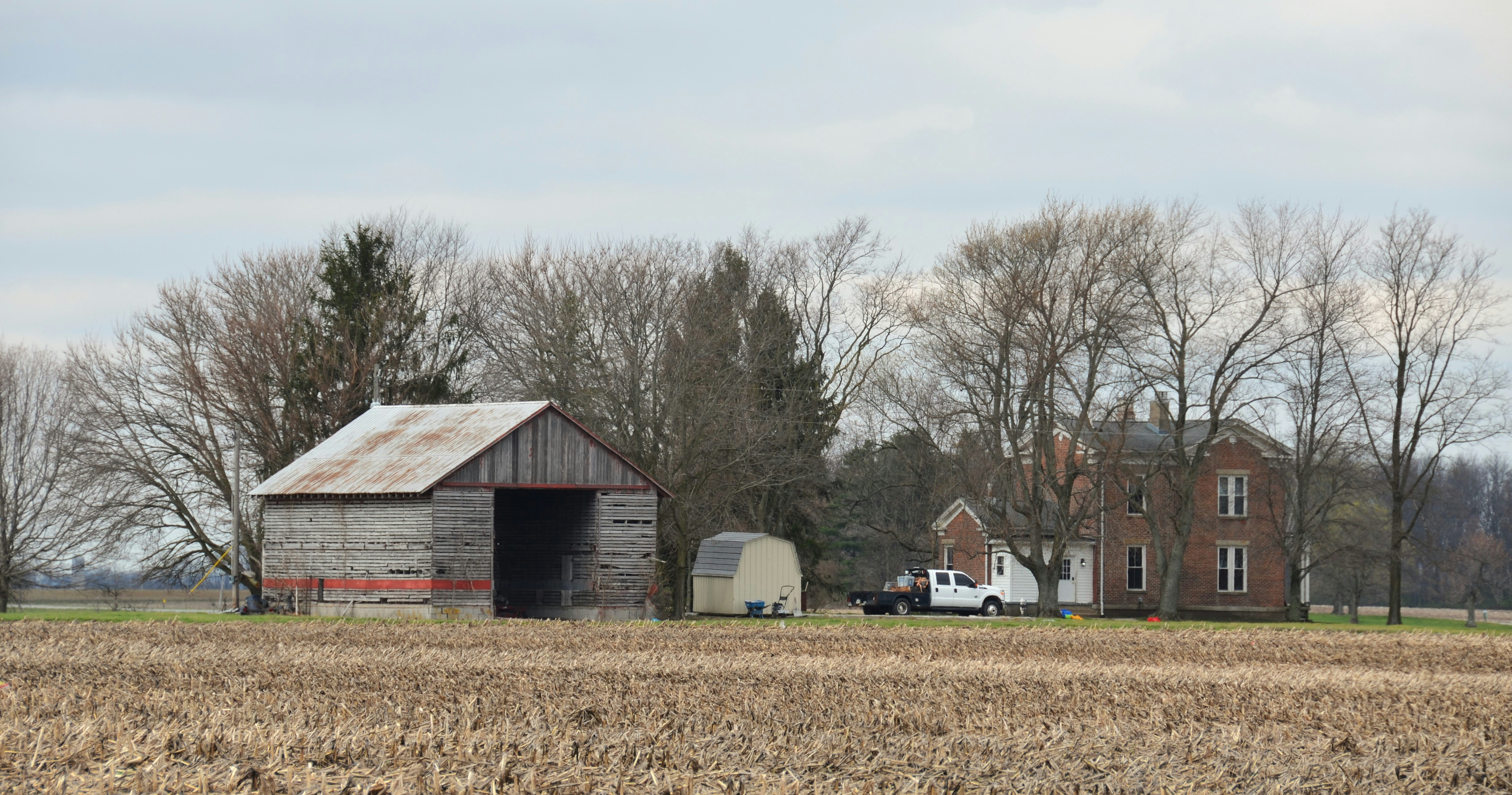 Shocking: 64 Calves Stolen Mercer County - What Happened?