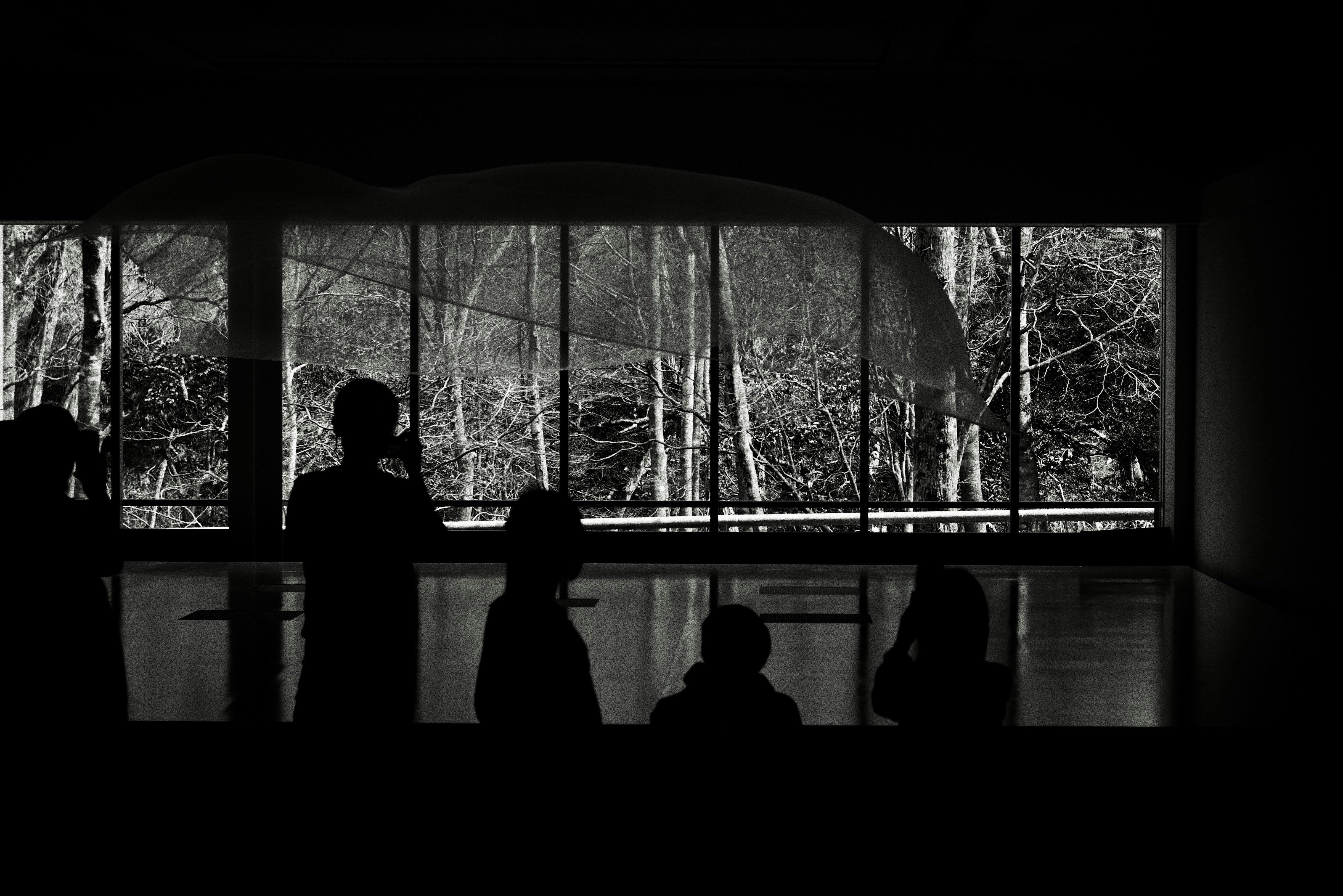 Silhouettes de personnes regardant par la fenêtre les arbres
