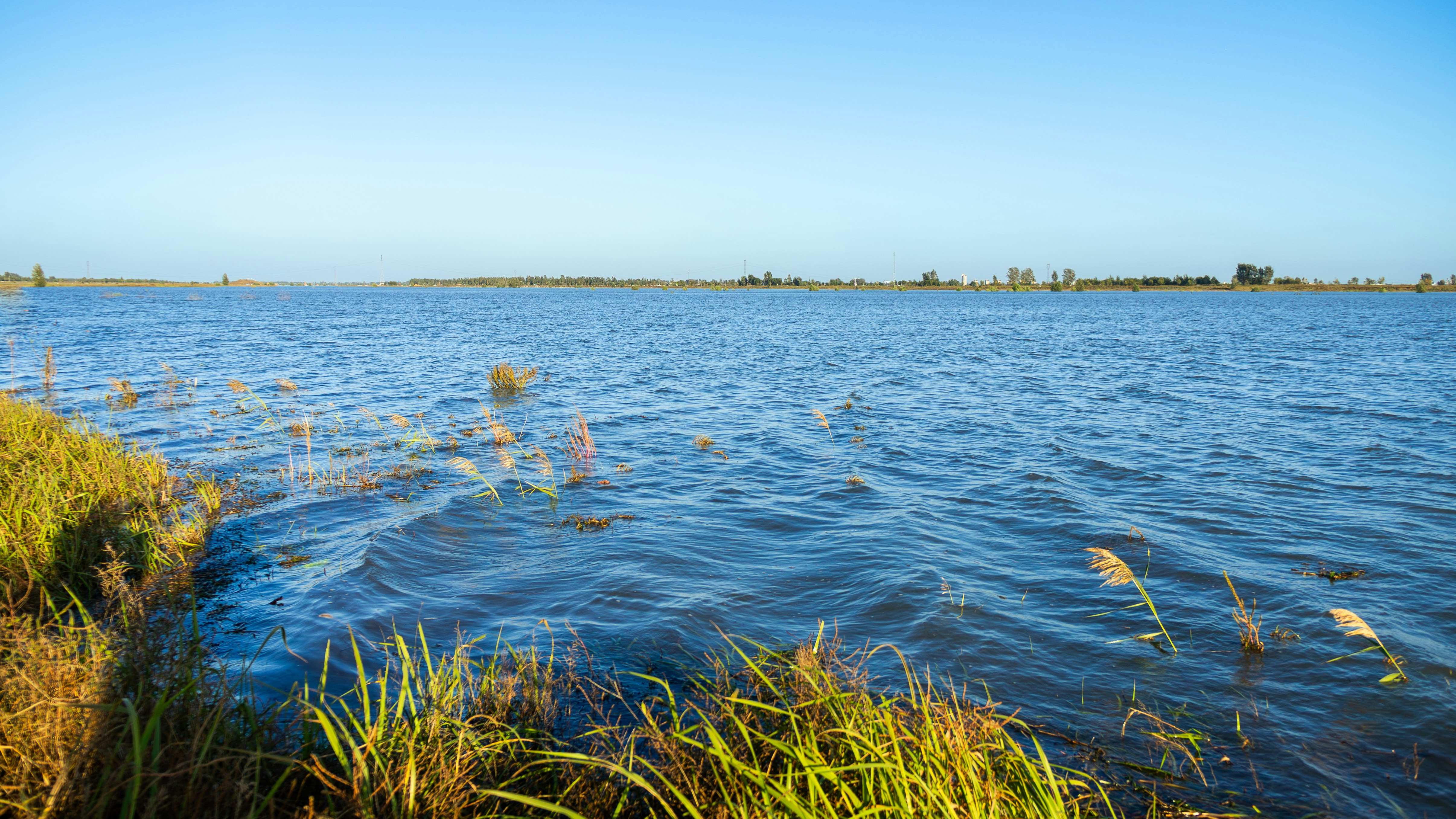 Photo by aiden_kepler